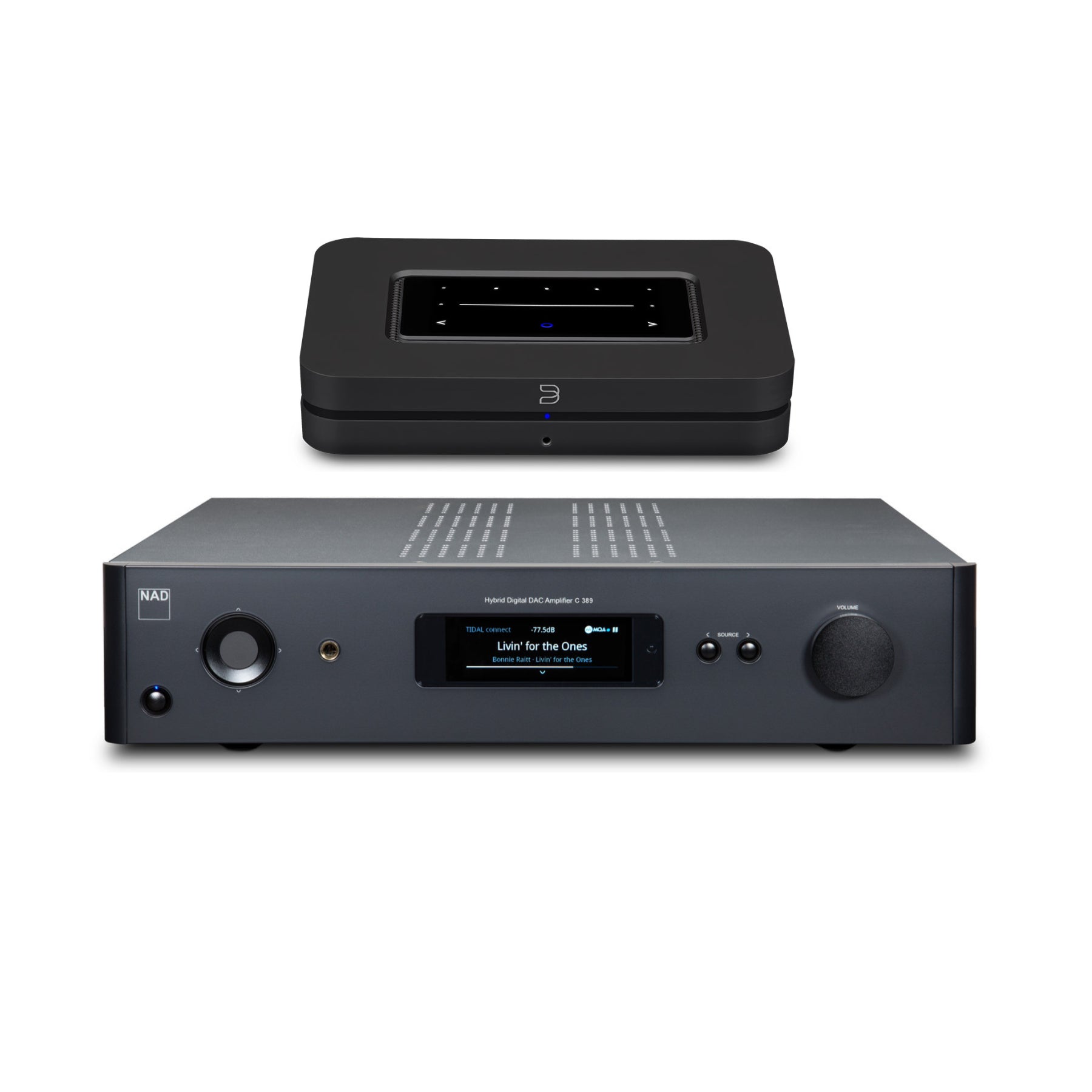 NAD C 389 Integrated Amplifier with Bluesound NODE Wireless Hi-Fi Music Streamer - Premium Audio Bundle for Home Theater & Stereo System