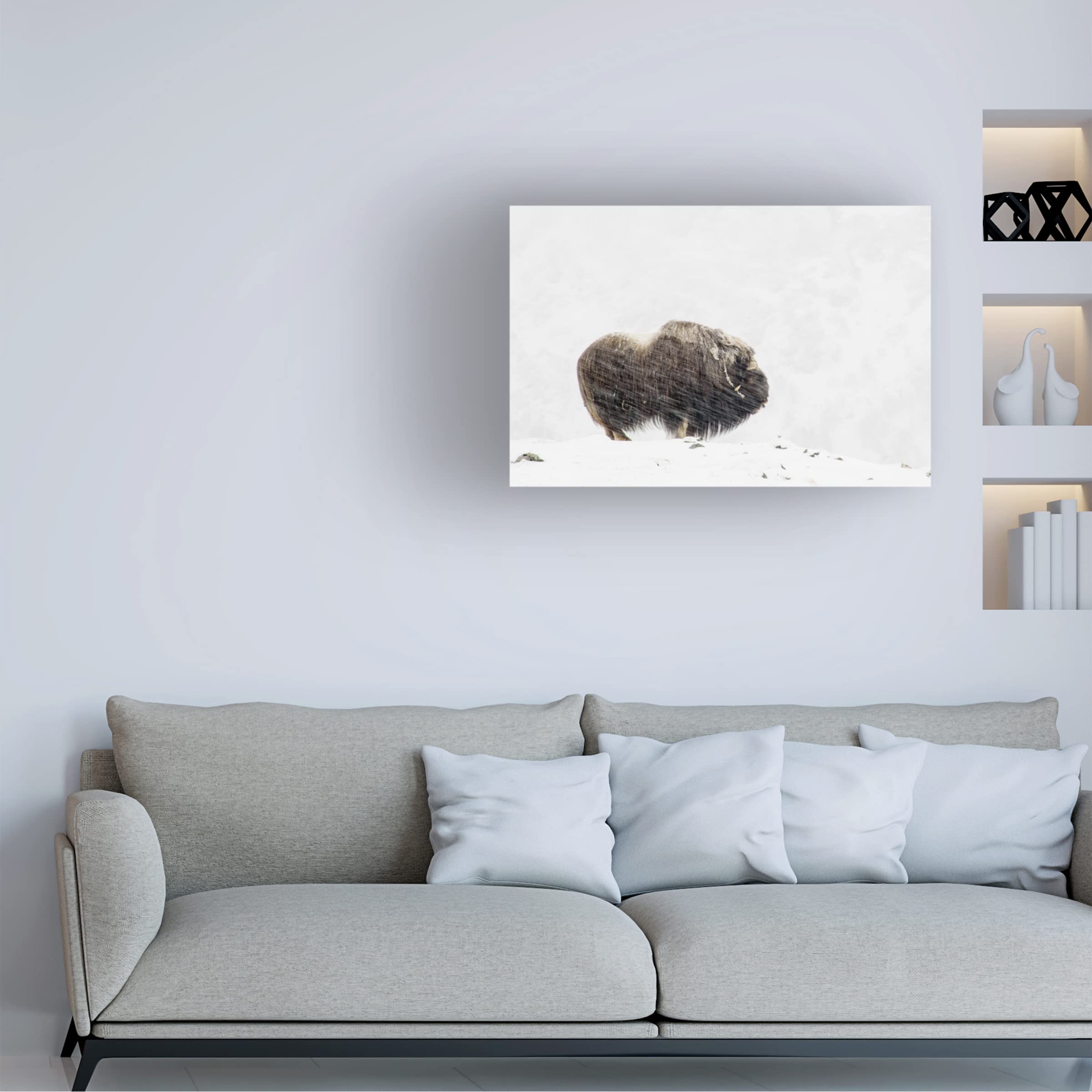 Trademark Fine Art 'Musk Ox Solitude' Canvas Wall Art Print by Thomas Olaussen - Wildlife Nature Decor for Living Room, Office & Cabin