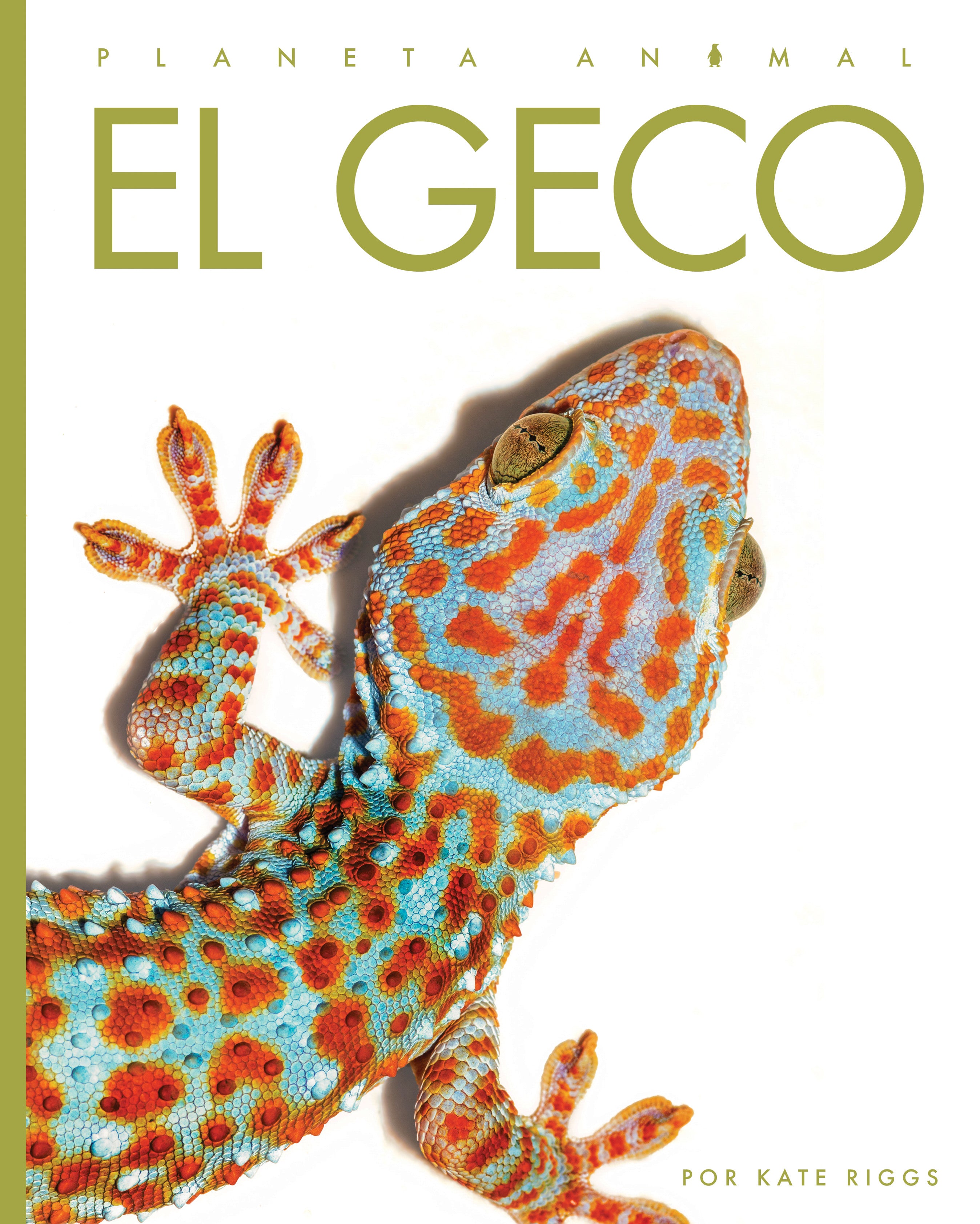 El Geco 9781640266728 - Reptile Pet Care Book for Gecko Owners - Perfect for Beginners & Enthusiasts | Home & Classroom Use