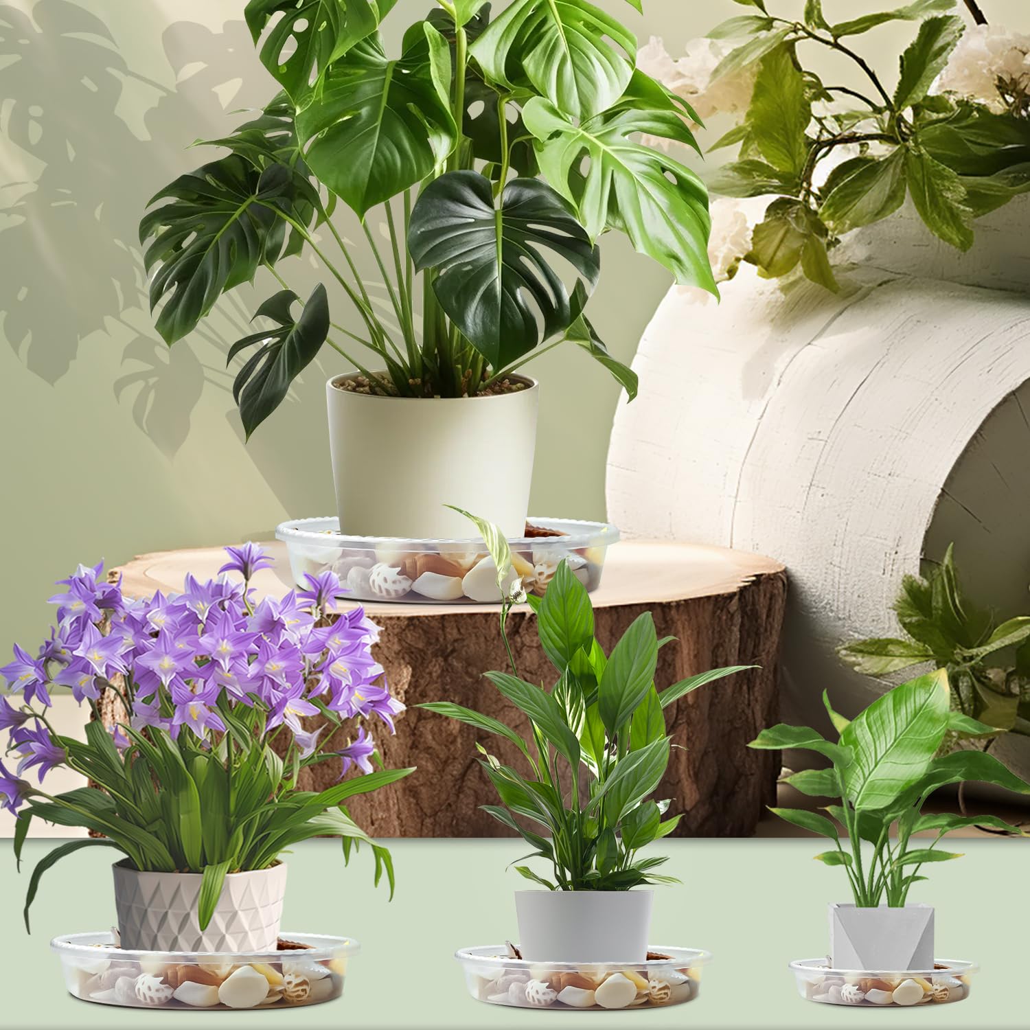 9 Pack Heavy Duty Clear Plastic Plant Saucers (6/8/10 Inch) - Thick Sturdy Plant Trays for Indoor Flower Pots, Drip Trays for Potted Plants | Perfect for Home Gardening, Balcony Decor & Plant Drainage Protection