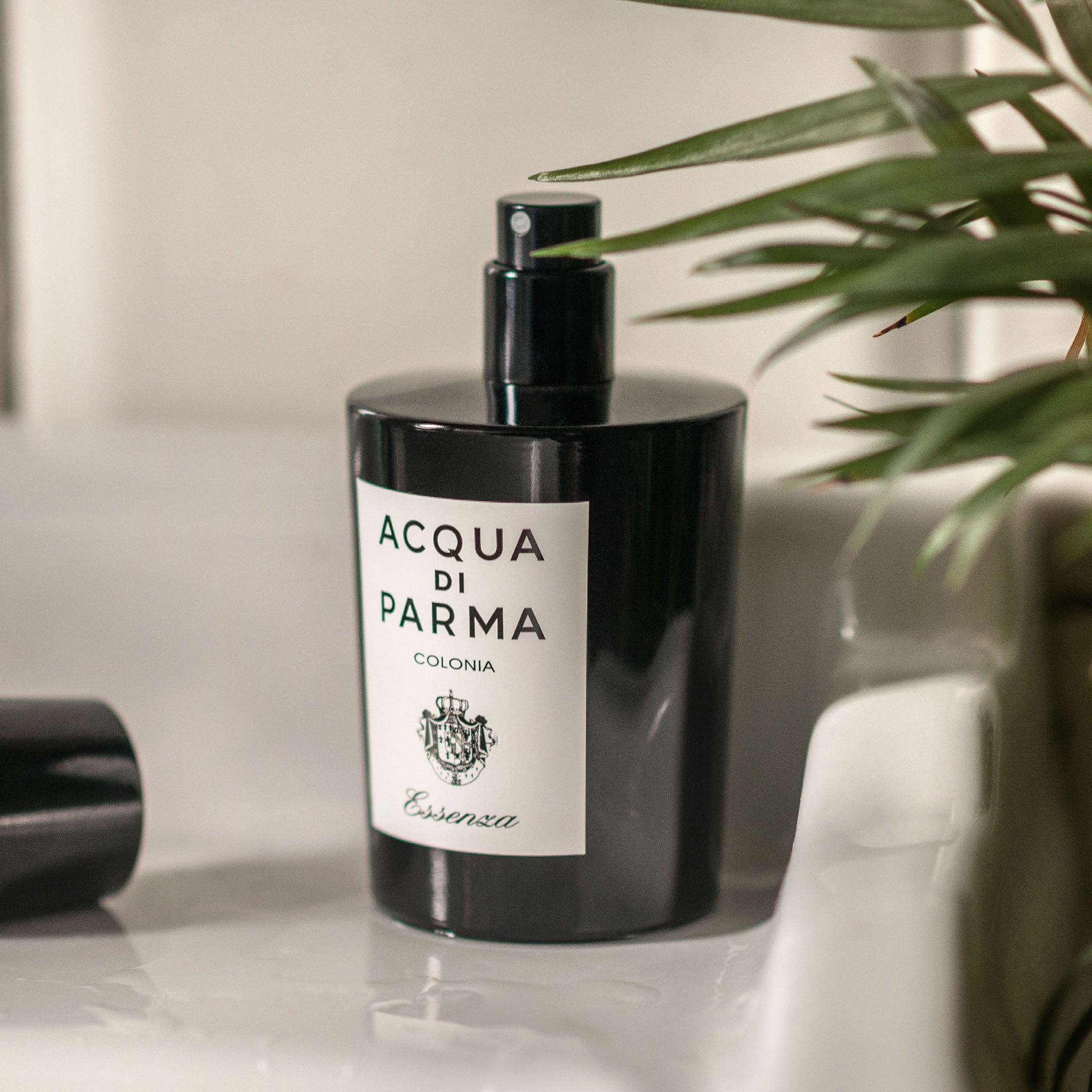 Colonia Essenza Eau de Cologne for Men - Fresh Citrus Aromatic Cologne Spray - Perfect for Daily Wear, Office & Special Occasions