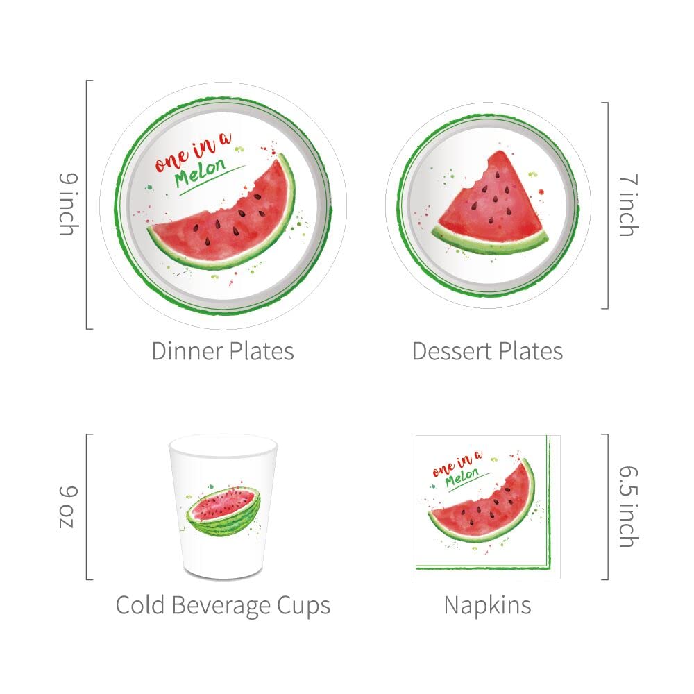 One in a Melon Watermelon Party Supplies Set - 257 Pieces Including Disposable Plates, Banners, Tablecloths, Cups & Balloons for Summer BBQs, Birthday Parties & Baby Showers