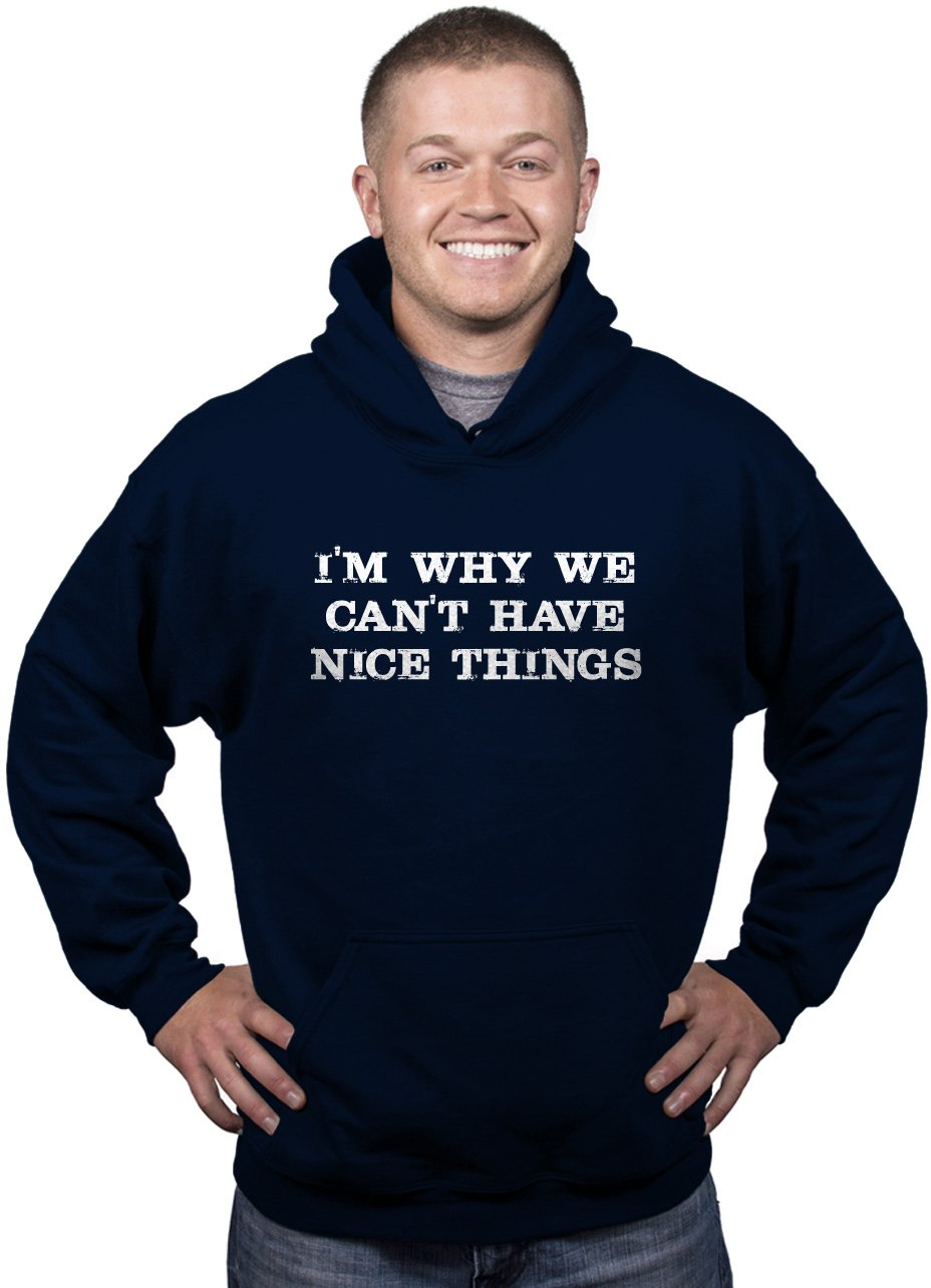 Funny 'Im Why We Can't Have Nice Things' Unisex Pullover Hoodie by Crazy Dog T-Shirts - Perfect for Casual Wear, Gifts & Humorous Outfits