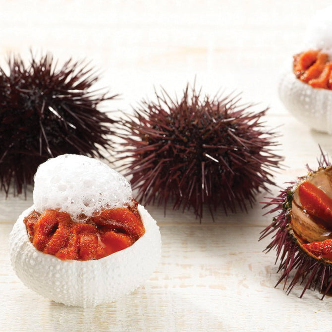 Premium Sea Urchin Dishes - Fresh Uni Sushi & Seafood Delicacies for Gourmet Dining | Perfect for Sushi Lovers, Fine Dining & Japanese Cuisine Enthusiasts
