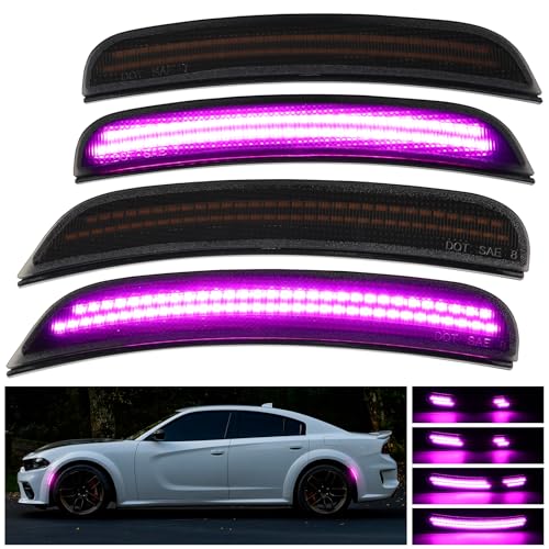 Pink Purple Dynamic