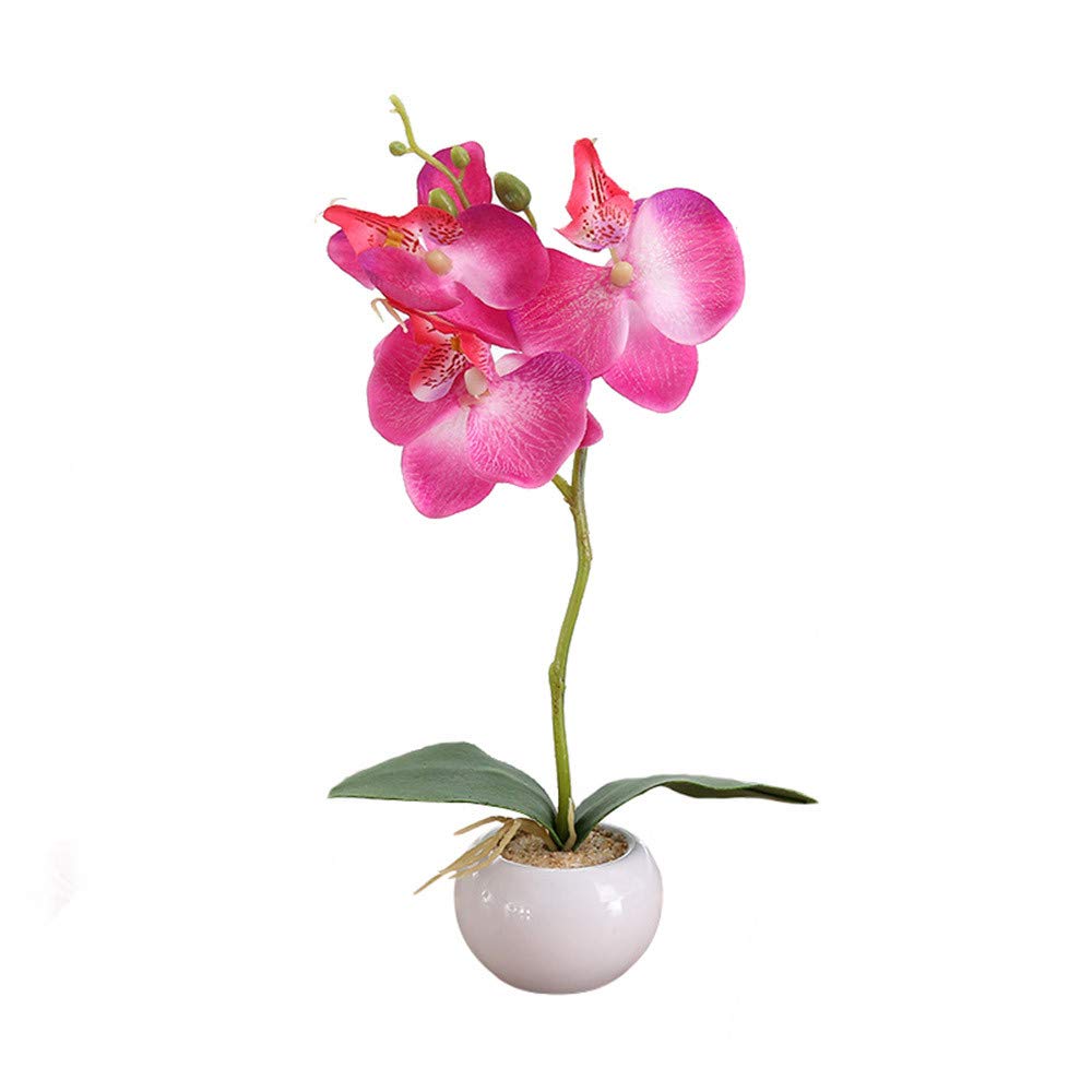 Outdoor Hanging Baskets with Artificial Flowers - Faux Butterfly Orchid Bonsai Plants for Indoor Decor, Valentine's Day Gift & Home Elegance | Perfect for Patio, Garden, Living Room & Office Decor
