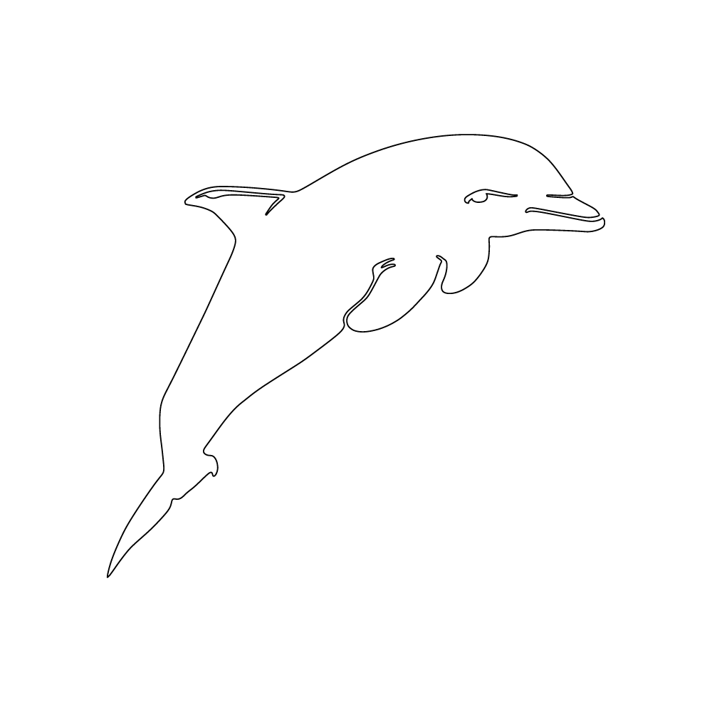 810 Dolphin 2.5