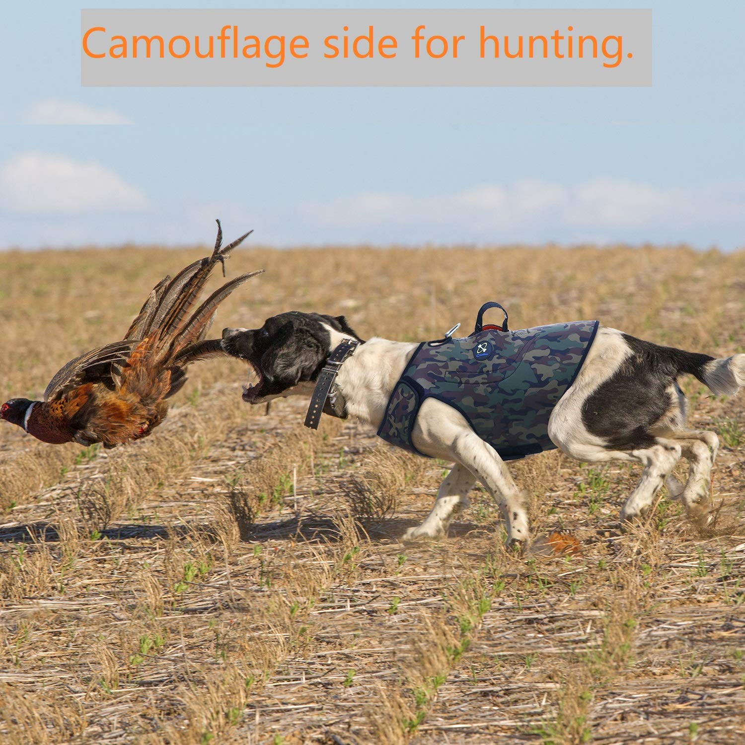 **Coodeo Reversible Reflective Hunting Dog Vest - Orange & Camo Waterproof Tactical Harness for Protection & Security, 4.5mm Neoprene Safety Jacket (X-Large) - Ideal for Hunting, Training & Outdoor Adventures**