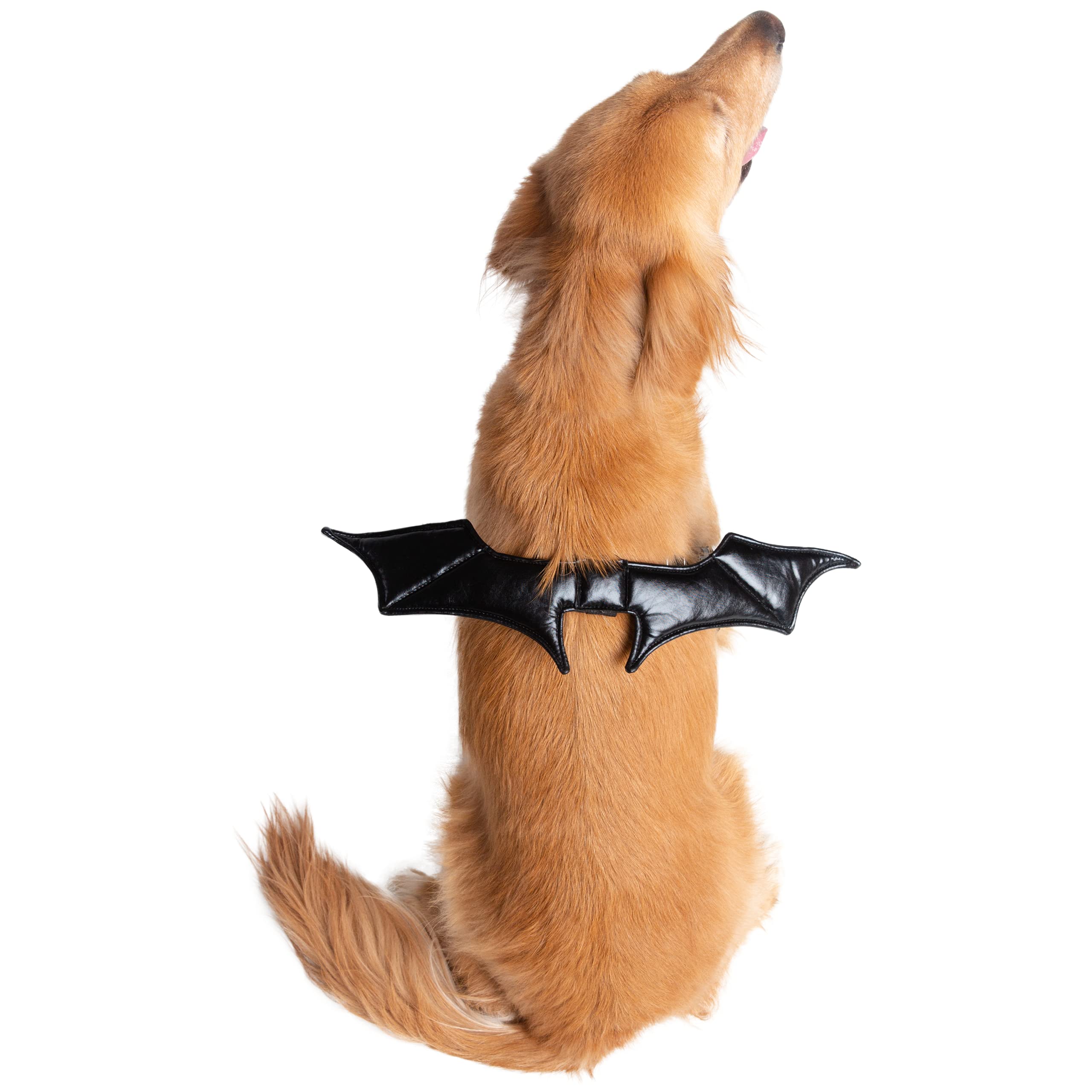 Pet Krewe Bat Dog Costume with Bat Wings & Harness Attachment - One Size Fits All - Perfect for Halloween, Christmas, Parties & Photoshoots - Great Gift for Dog Lovers - Ideal for Dress-Up, Pet Parades & Themed Events
