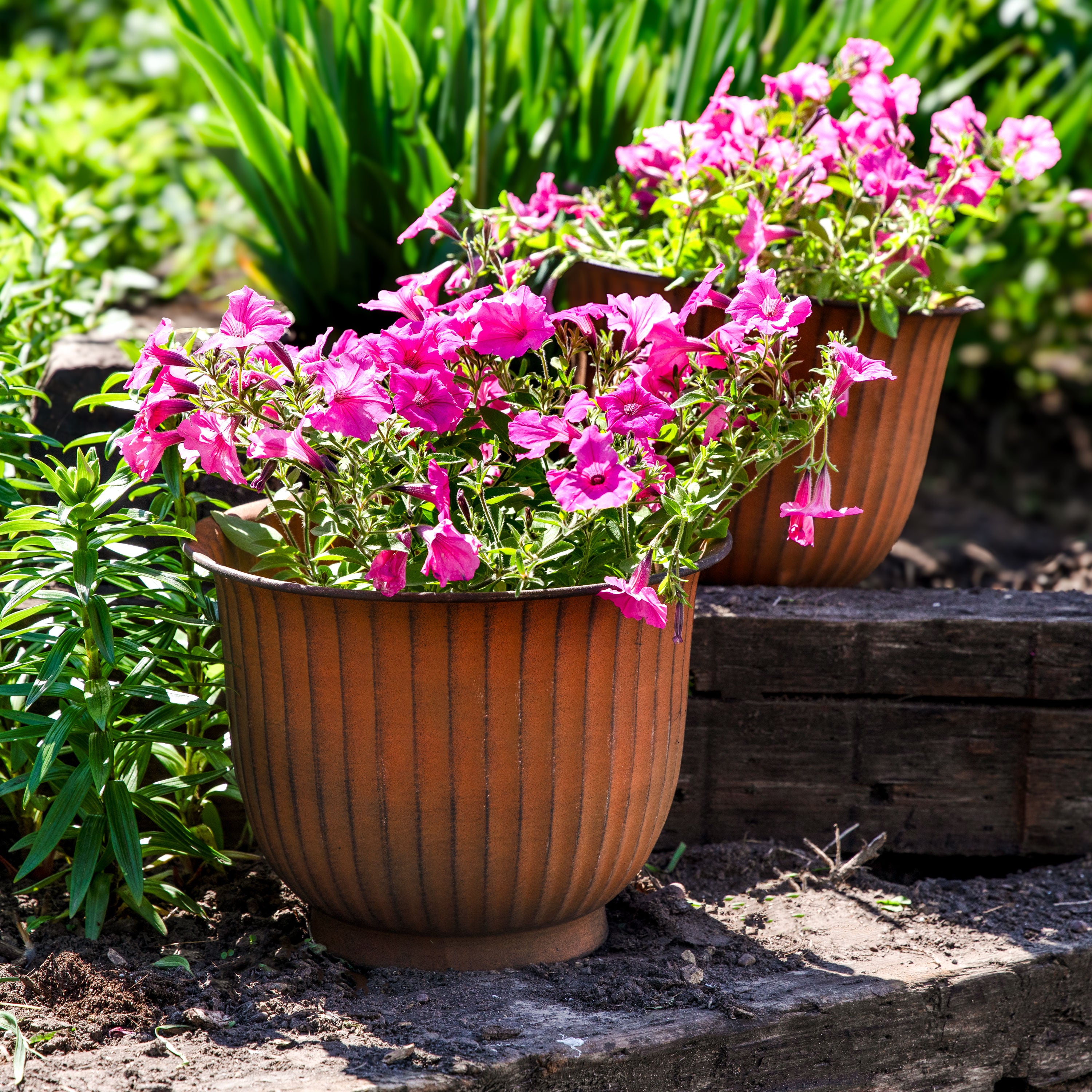 Sunnydaze Carlotta Metal Outdoor Plant Pots - 14.75 Inch Decorative Garden Planter for Patio, Balcony & Backyard - Rust-Resistant & Durable Design
