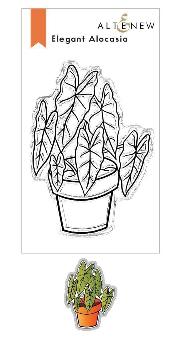 Stunning Alocasia Plant for Home & Office Decor - Perfect for Indoor Greenery and Tropical Plant Lovers