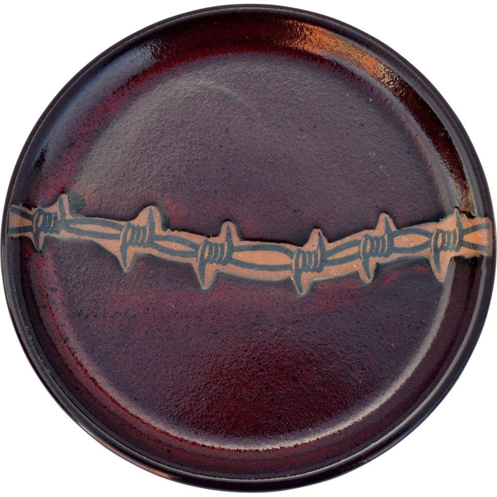 Rustic Barbed Wire Western Dinnerware Set - Red Ceramic Plates & Bowls for Cowboy Themed Parties & Ranch Style Dining