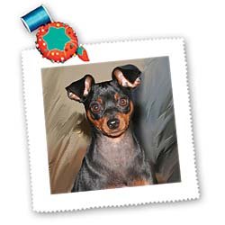 3D Rose Miniature Pinscher Dog Breed 10x10 Inch Square Quilt - Perfect for Pet Lovers, Home Decor, and DIY Quilting Projects
