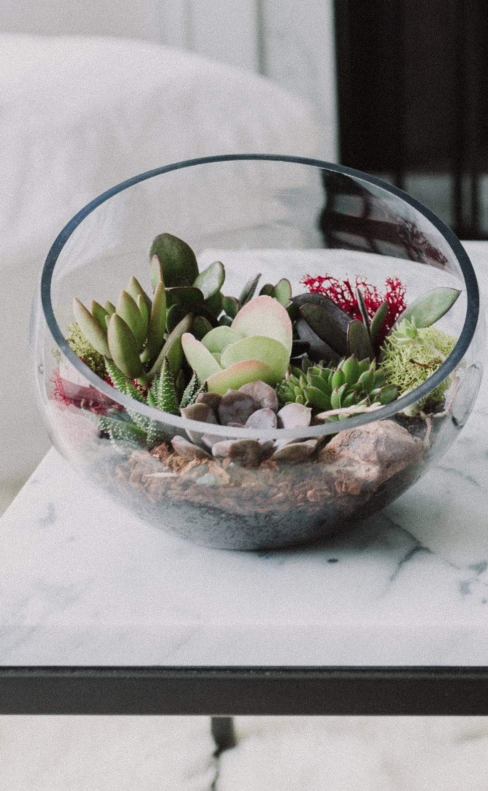 Slanted Cut Glass Terrarium with Live Plants - Modern Geometric Succulent Planter for Home & Office Decor | Perfect for Indoor Plants, Air Purifying, and Gift Ideas