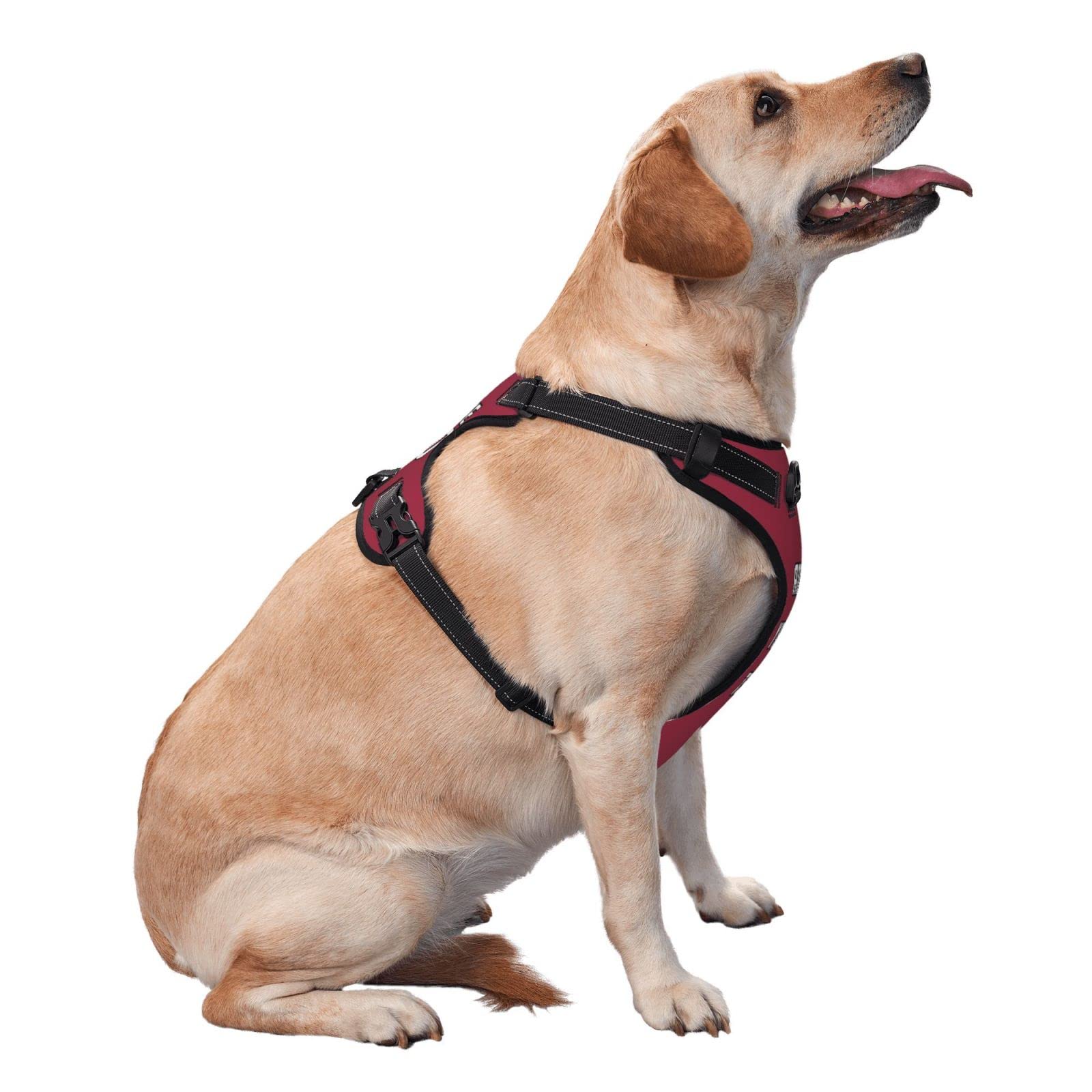 Custom Personalized Football Pet Harness with Name & Phone Number - Reflective Adjustable Dog Vest for Small Medium Large Dogs & Cats - Perfect for Night Walks, Outdoor Adventures & Pet Safety