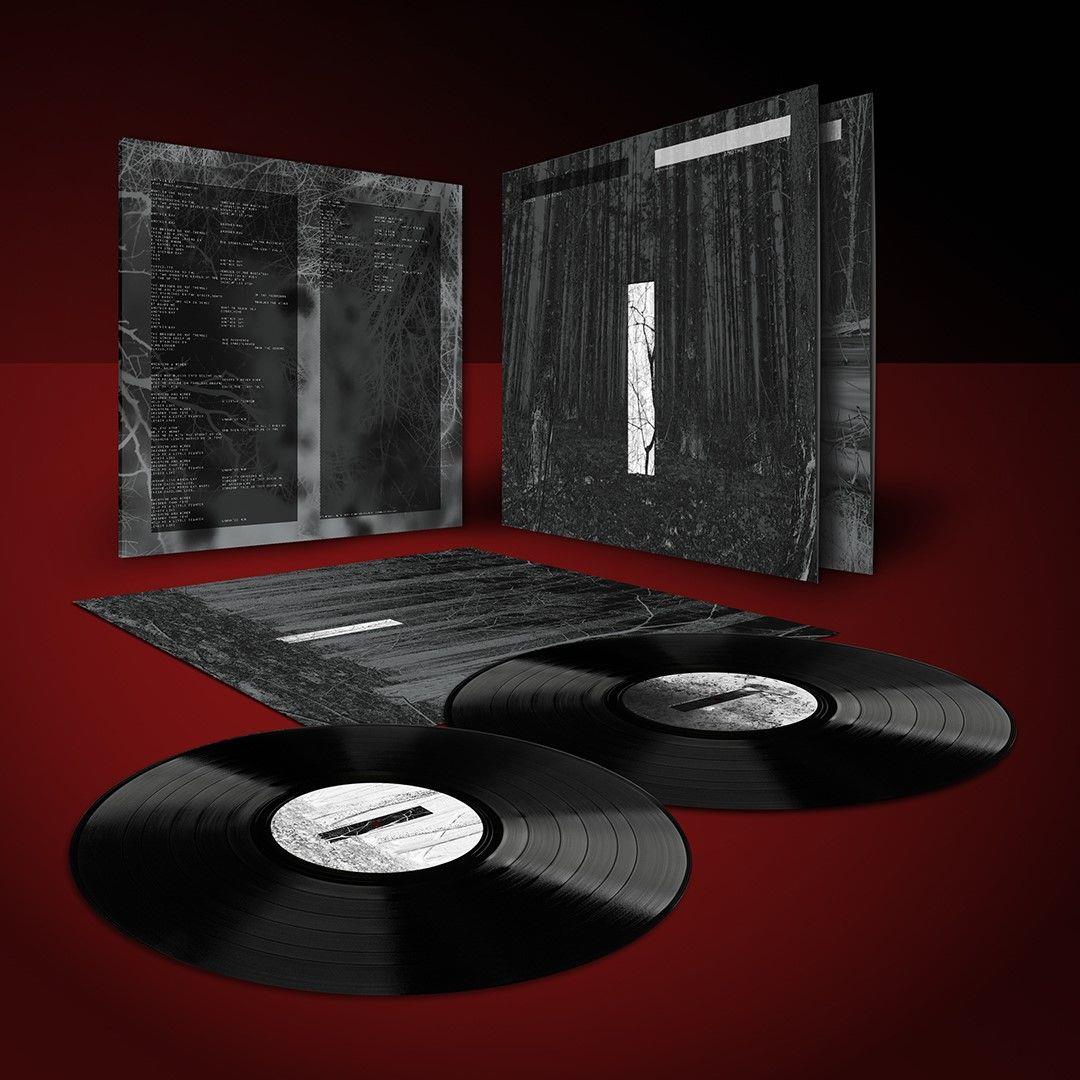 Another Day Vinyl Record - Classic Music Album for Collectors & Audiophiles - Perfect for Home Listening & Gifts