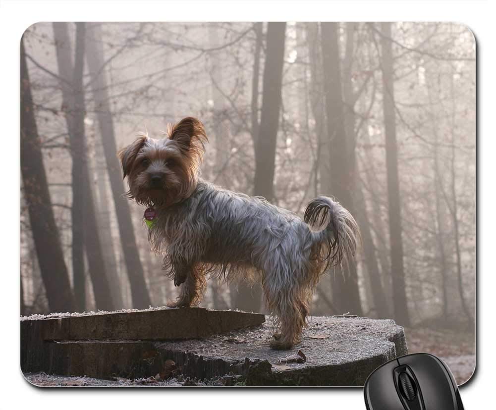 Premium Gaming Mouse Pad with Non-Slip Base - Cute Yorkshire Terrier Dog Design for PC, Laptop & Office Use - Perfect Gift for Gamers & Pet Lovers