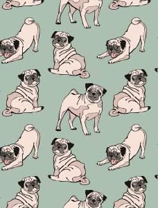 Pug Dog Cartoon