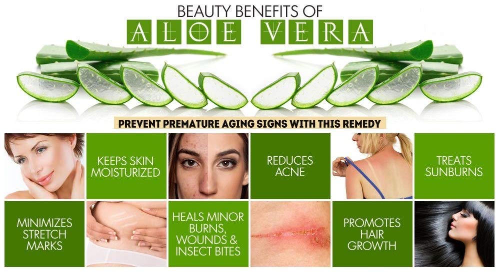 Elina 100% Pure Natural Aloe Vera Gel for Face & Skin Care - 200g Rose Scented | Hydrating, Soothing Moisturizer for Sunburn, Acne & Dry Skin Relief