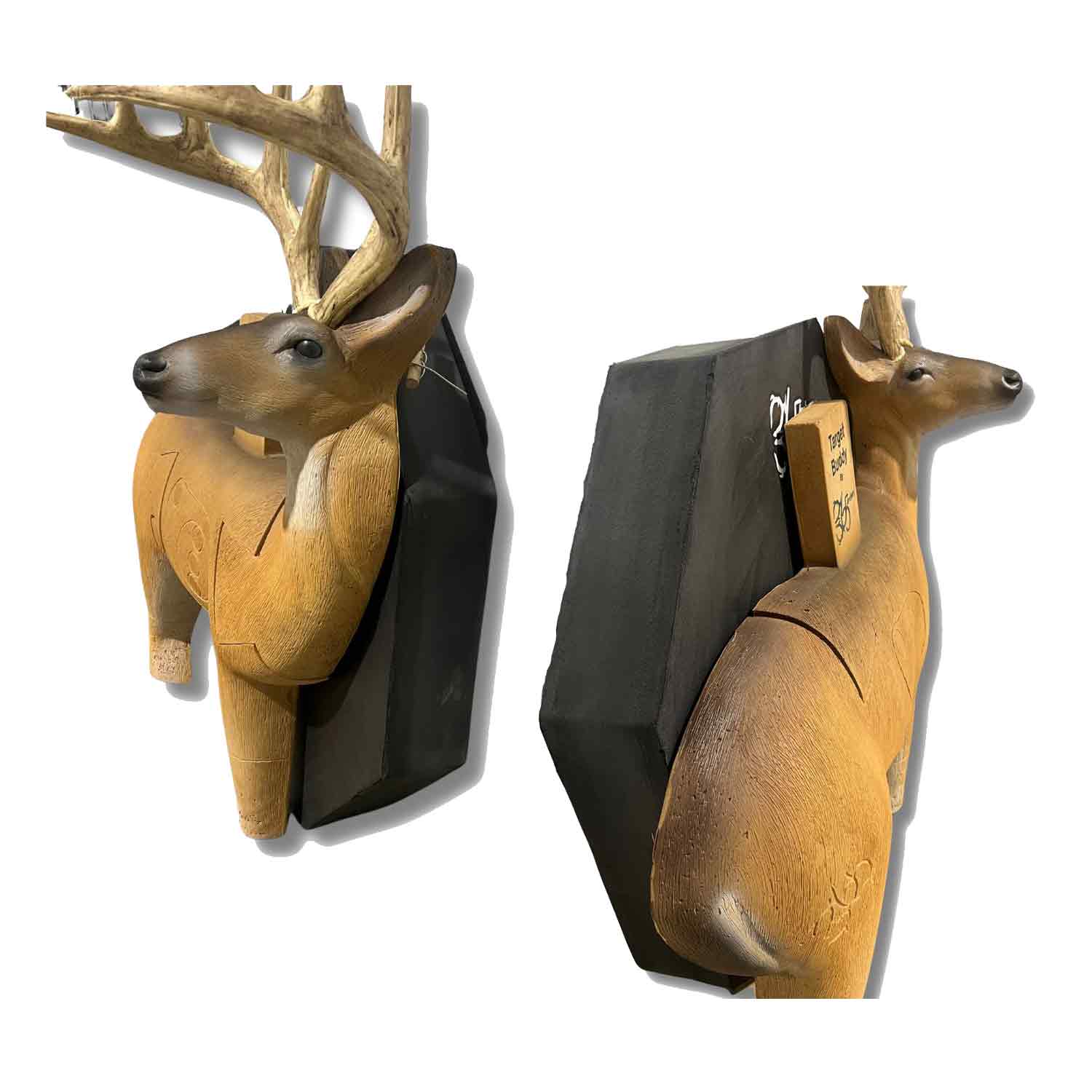 365 Archery Target Buddy 3D Whitetail Deer Hunting Target - Durable Foam Archery Practice Target for Outdoor & Indoor Shooting Range Training