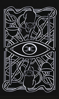 Christina Ricci's Cat Full of Spiders Tarot Deck with Guidebook - Unique Gothic Tarot Cards for Divination, Fortune Telling & Spiritual Guidance