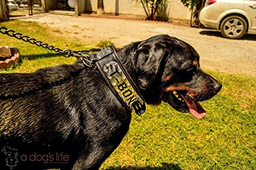 Bestia Personalized Kennel Dog Collar for Large Breeds - XXL Size 2.8 Inch Wide Padded Leather Collar Made in Europe - Perfect for Training, Walks & Outdoor Adventures