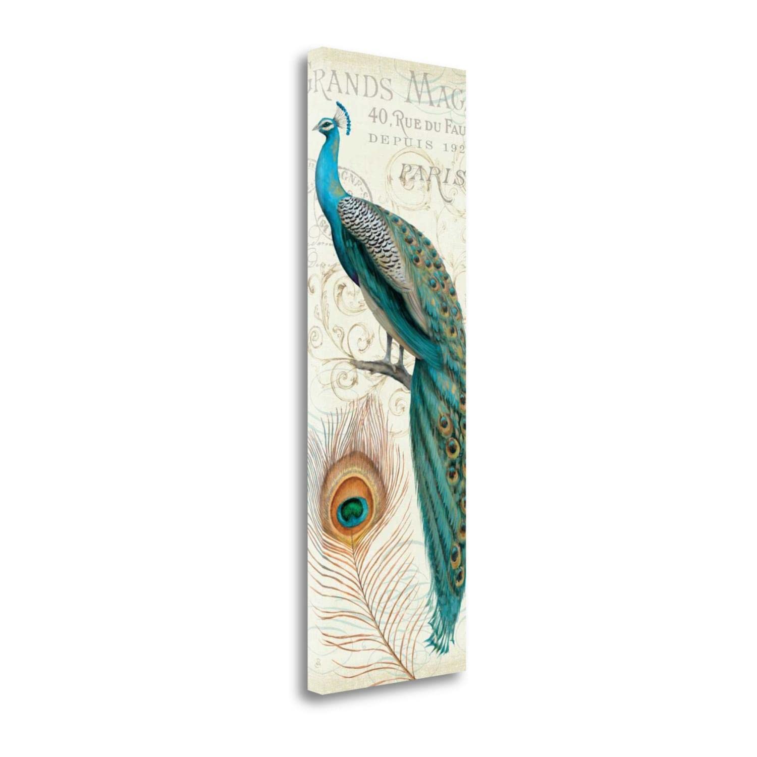 Tangletown Fine Art Majestic Beauty II by Daphne Brissonnet - Premium Giclee Print on Gallery Wrapped Canvas - Perfect for Living Room, Bedroom & Office Wall Decor