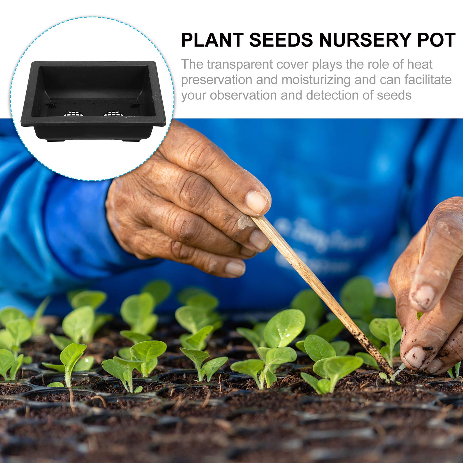 5 Pack Plastic Seedling Pots for Succulents, Flowers & Plants - Small Garden Flower Pots with Drainage Holes, Indoor/Outdoor Plant Containers for Home Gardening, Balcony & Office Decor