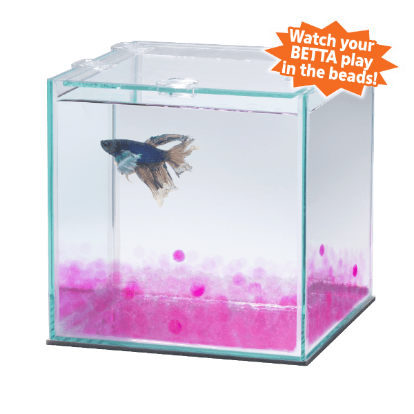 Aqueon PURE Betta Beads - Premium Water Conditioner for Betta Fish Tanks | Natural Biological Filtration | Safe for Freshwater Aquariums | Perfect for Small Fish Bowls and Nano Tanks