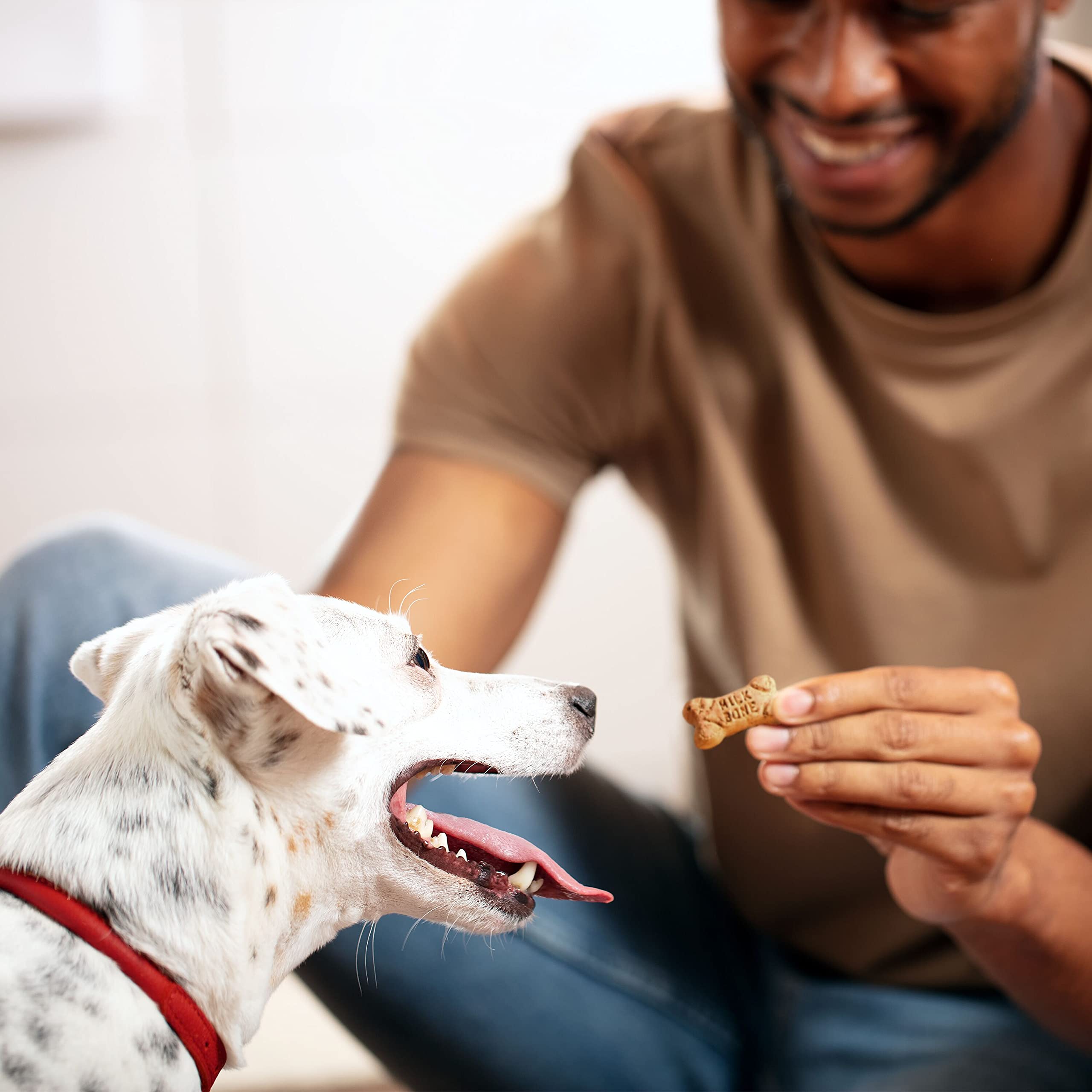 Milk-Bone Mini's Flavor Snacks Dog Treats, 36 Ounce - Crunchy Bite-Sized Training Rewards for Small & Medium Dogs - Perfect for Obedience Training, Positive Reinforcement & On-The-Go Treats