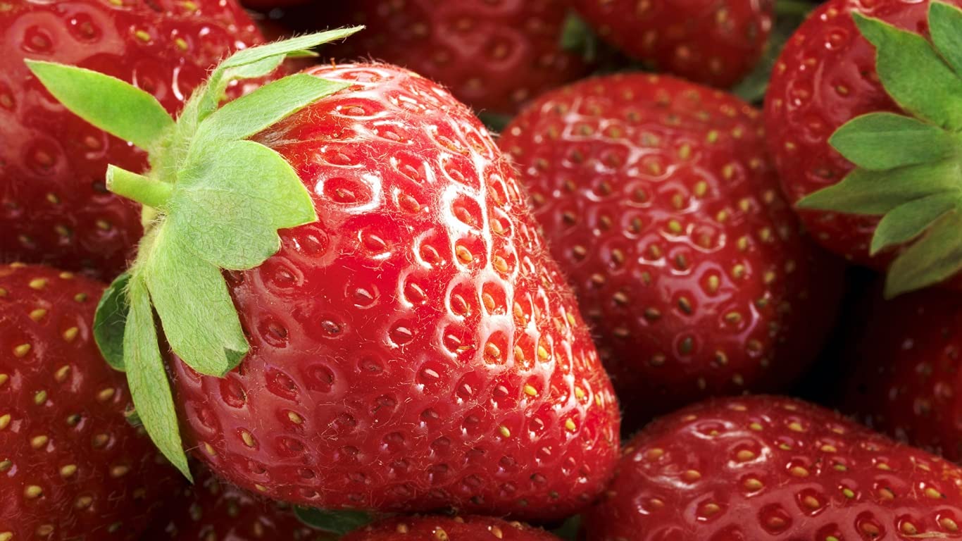 15+ Giant Strawberry Fresca Everbearing Seeds - Sweet Red Fruit Plants for Home Garden, Patio & Container Planting
