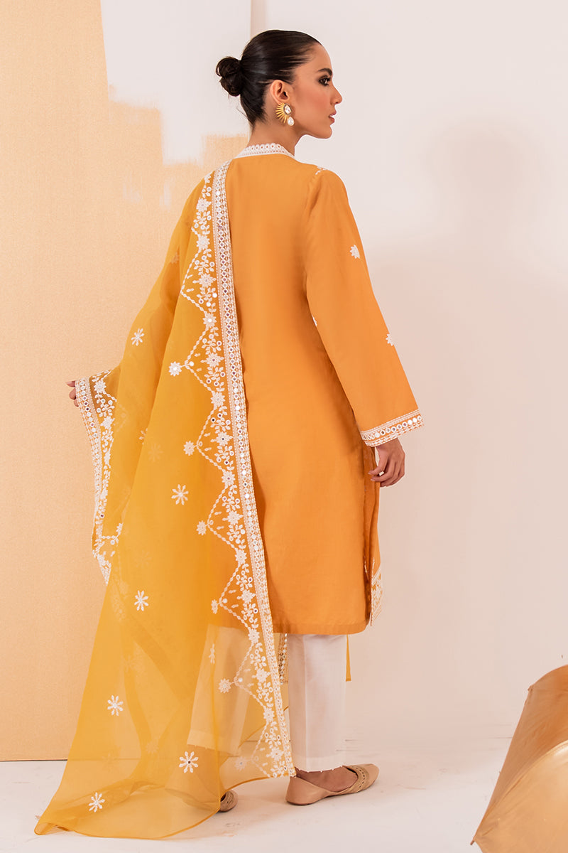 HAZEL WOOD 2-Piece Set (Shirt & Dupatta) - Stylish Ethnic Outfit for Women | Perfect for Festivals, Weddings & Special Occasions