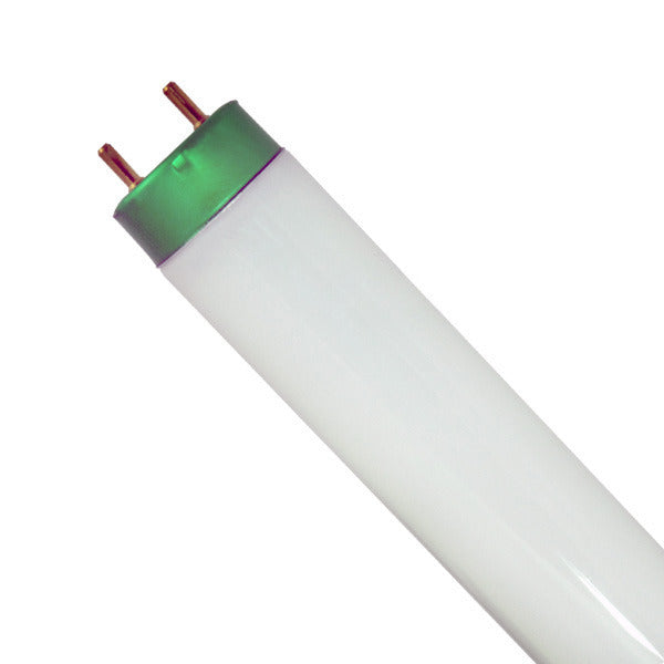 Philips 281931 F17T8/TL865/ALTOII 17 Watt 6500K Daylight Fluorescent Light Bulbs - Energy Efficient, Long Lasting - Pack of 10 - Perfect for Offices, Garages, and Commercial Lighting