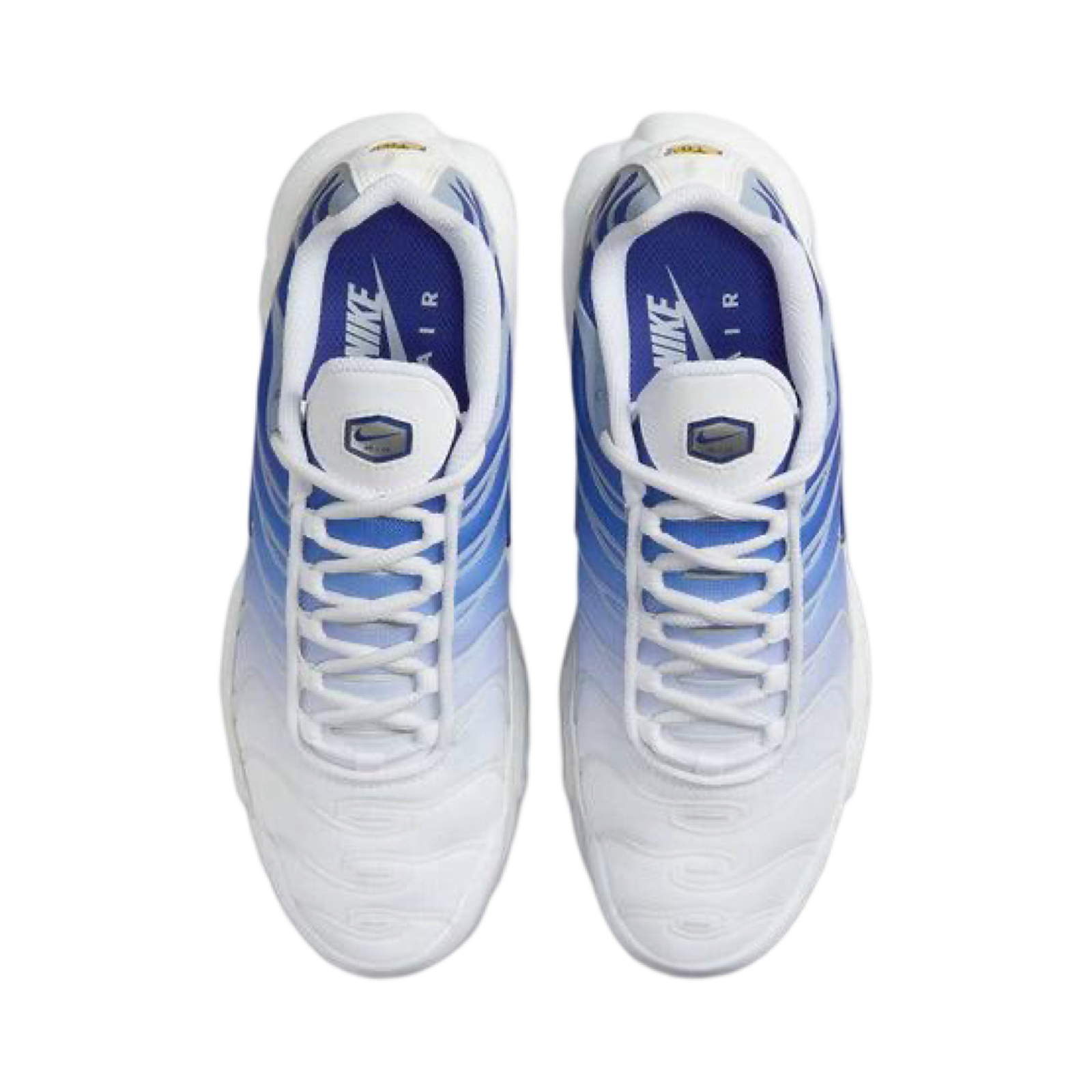 Nike Women's Air Max Plus TN Running Shoes - White Concord Metallic Platinum - Comfortable Athletic Sneakers for Jogging, Gym Workouts & Casual Wear