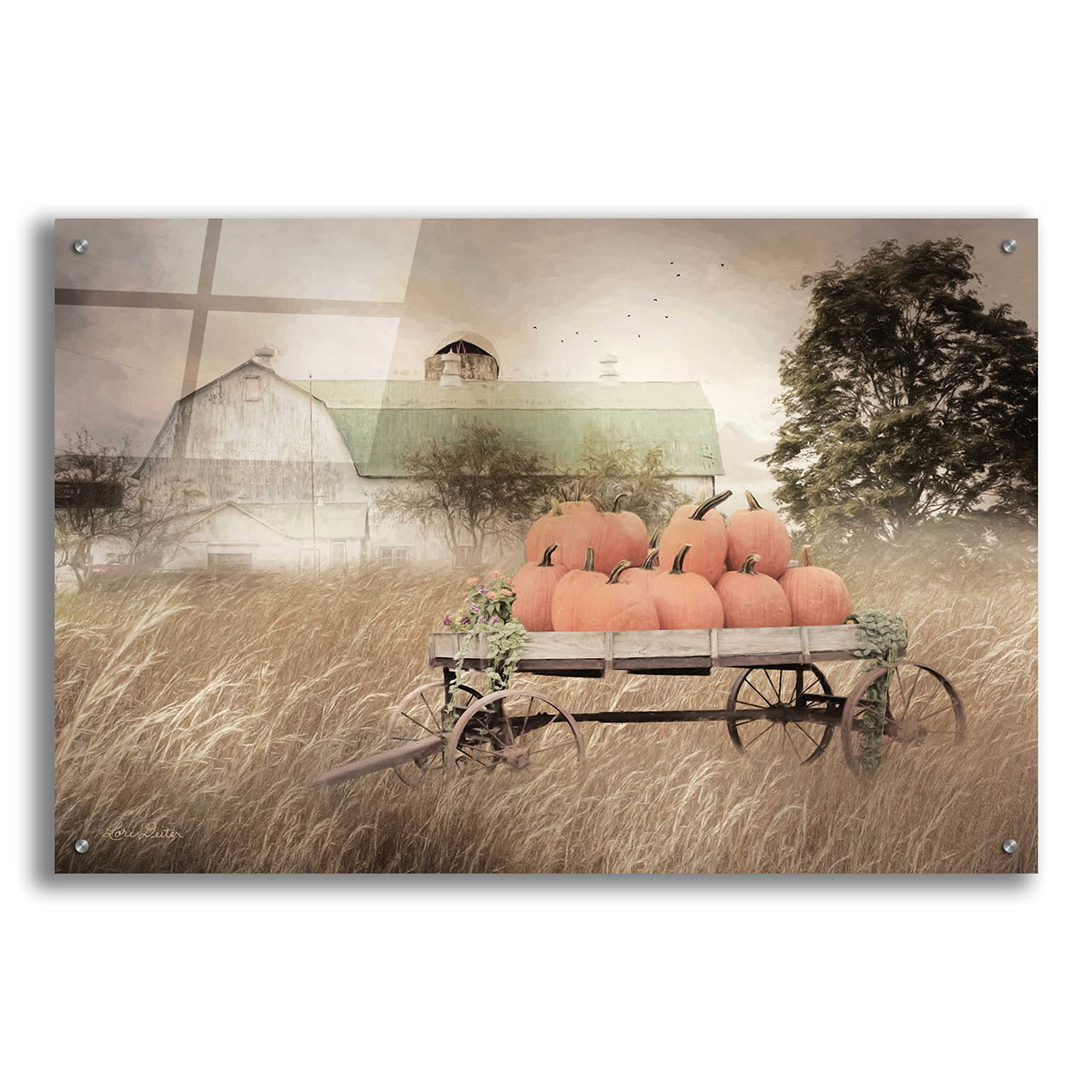 Lori Deiter 'Pumpkin Harvest Barn' Acrylic Glass Wall Art - 36x24 Inch Farmhouse Decor for Living Room, Kitchen, or Office