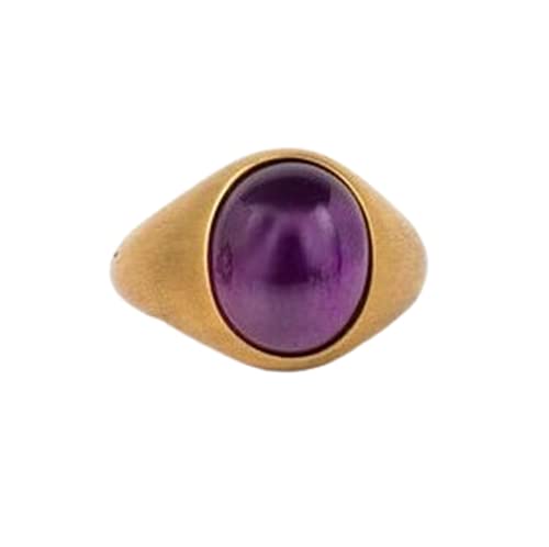 925 Sterling Silver Purple Amethyst Men's Ring - Matte Boho Vintage Signet Statement Ring for Men - Gold Vermeil Modern Jewelry Gift for Him - Perfect for Weddings, Parties & Everyday Wear