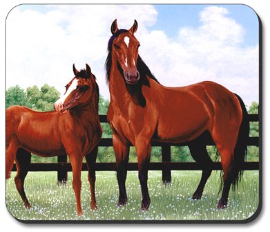 Premium Horse Corral Art Plates Mouse Pad - Non-Slip Desk Mat for Office, Gaming & Home Use