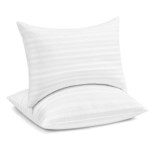 Silver Stripe