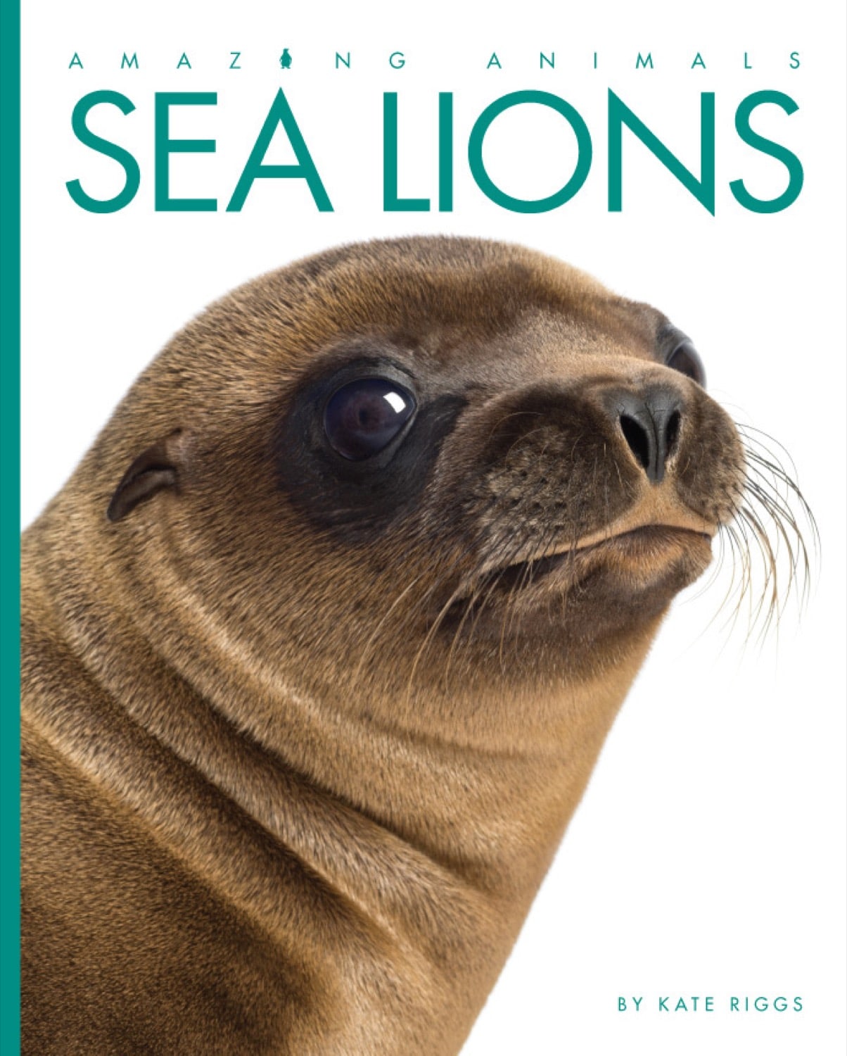 Amazing Animals (2014): Sea Lions - Educational Wildlife Documentary for Kids & Nature Lovers | Perfect for Classroom Learning & Family Movie Nights