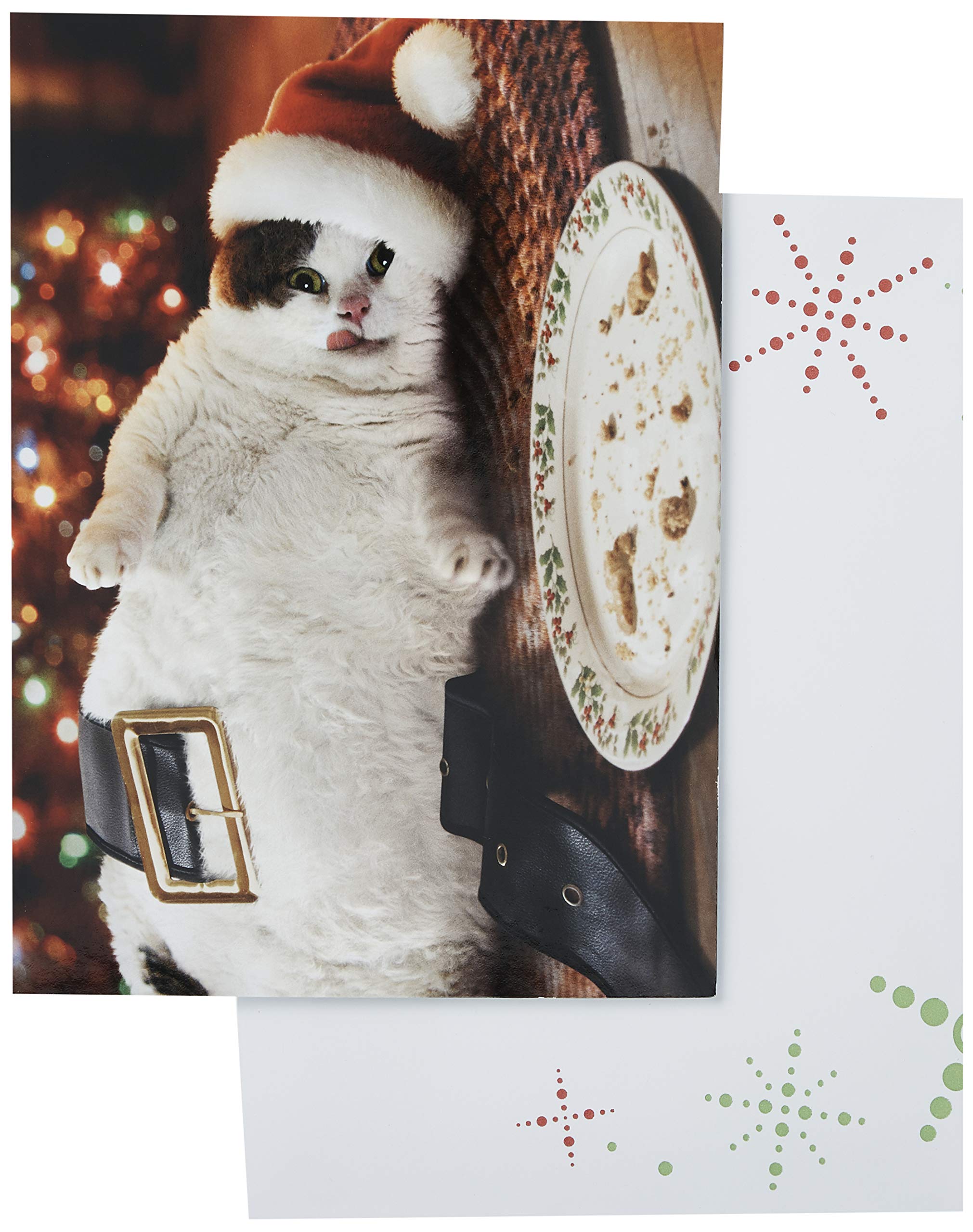 Avanti Press Christmas Cards - Santa Cat with Cookies (Set of 10) | 703952 | Holiday Greeting Cards for Family, Friends & Coworkers