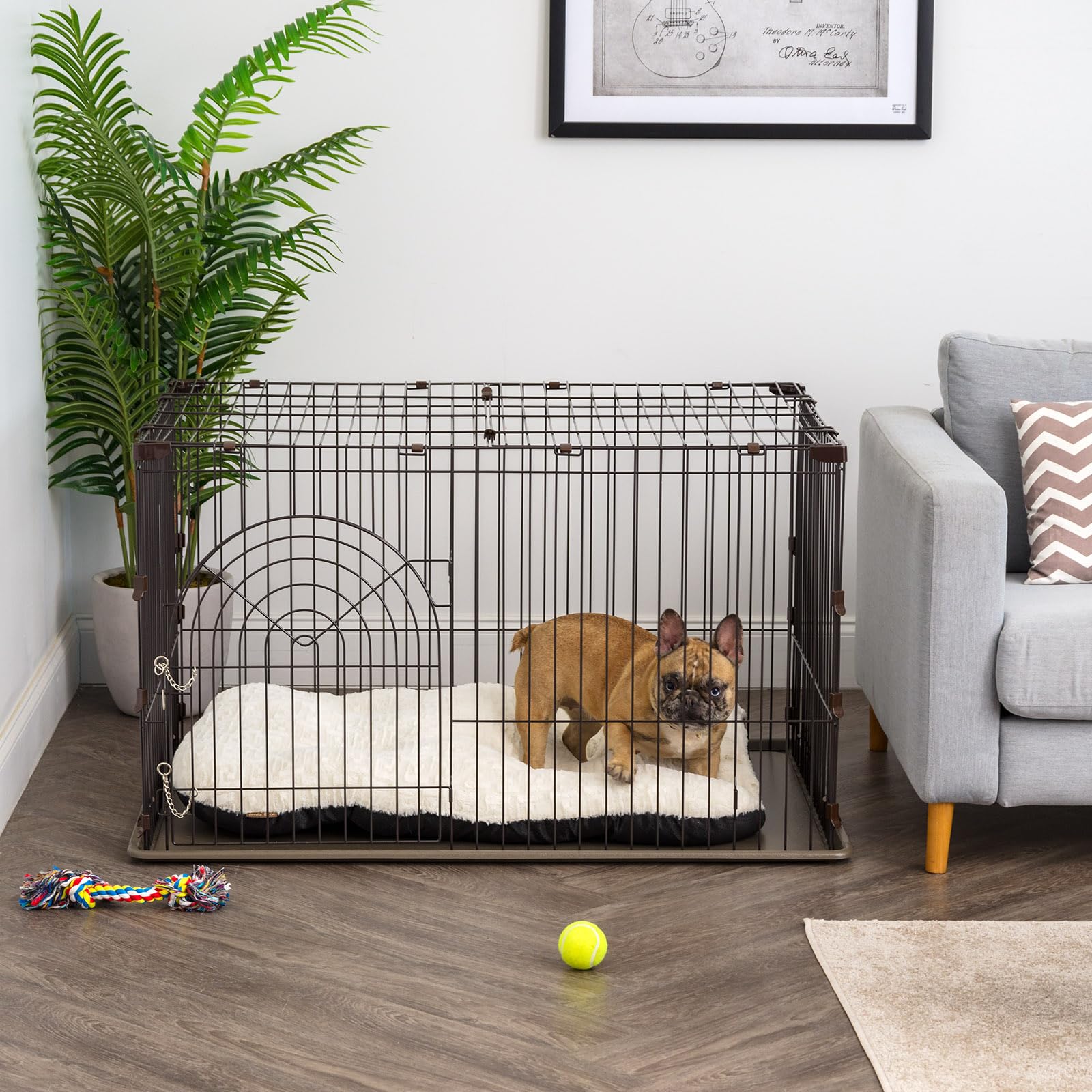 IRIS Large Wire Deluxe Dog Crate - 42 Inch Heavy Duty Metal Pet Cage for Medium to Large Dogs - Perfect for Home, Travel & Training Use