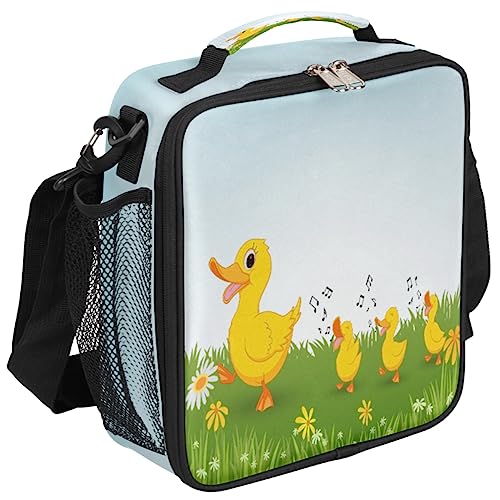 B:Funny Animal Duck