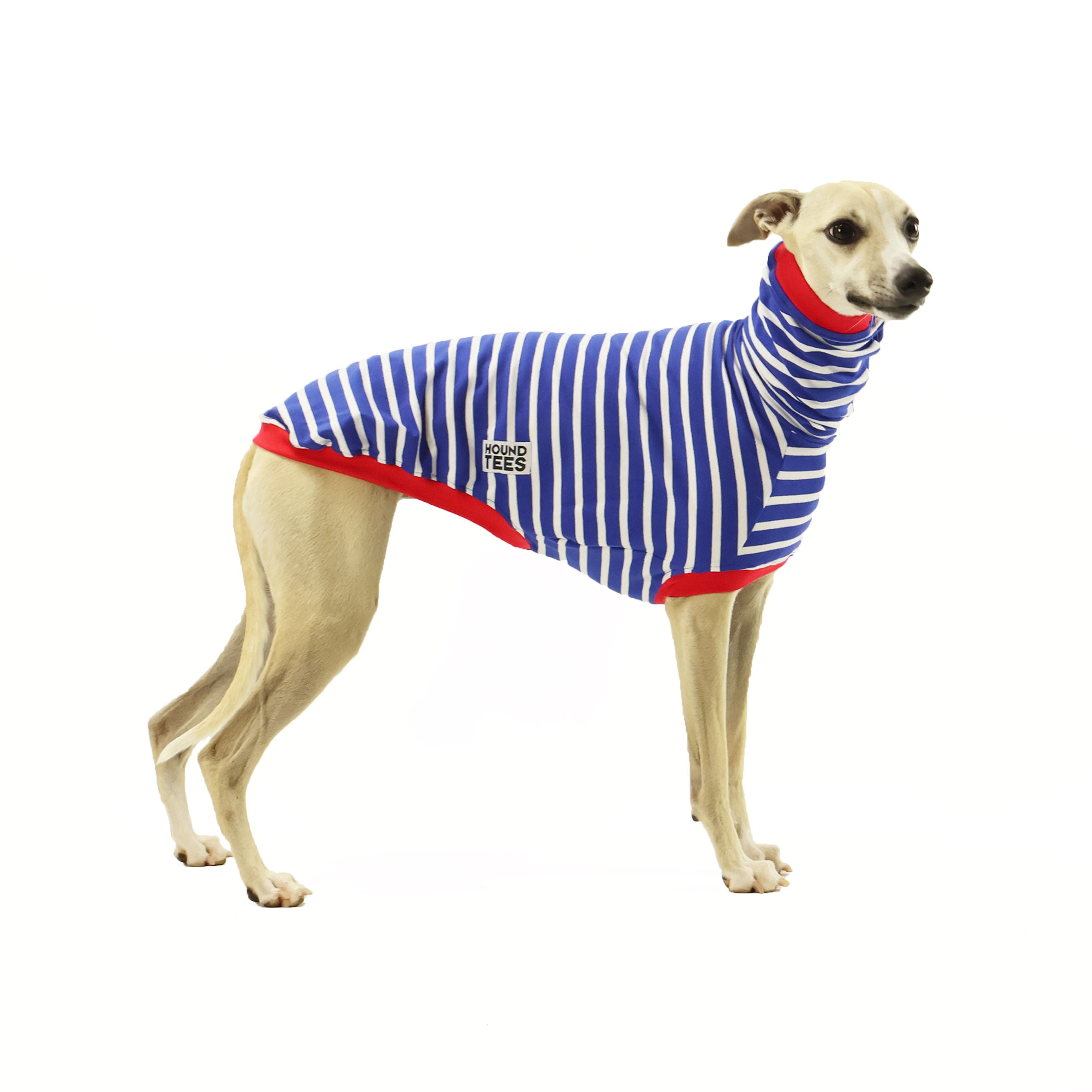 Blue Breton Whippet Sleeveless Hound T-Shirt - Comfortable Dog Lover Apparel for Casual Wear & Outdoor Activities