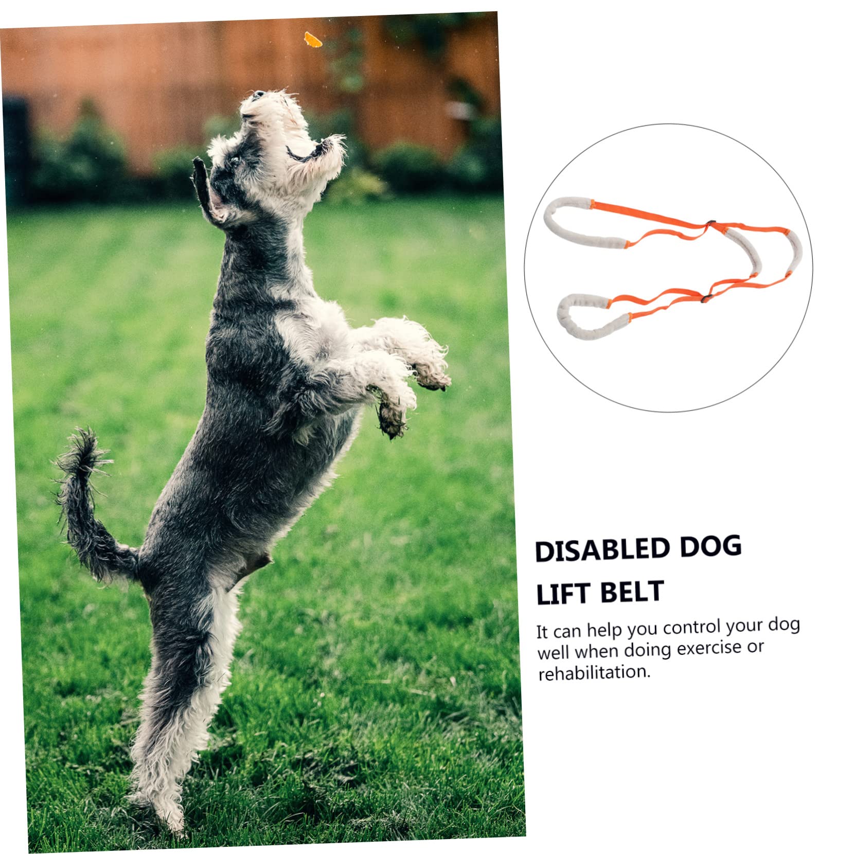 Balacoo Adjustable Dog Lift Harness - Portable Pet Sling for Small & Large Dogs - Supports Weak Rear Legs, Surgery Recovery & Walking Assistance - Ideal for Post-Surgery Care, Mobility Aid & Daily Exercise