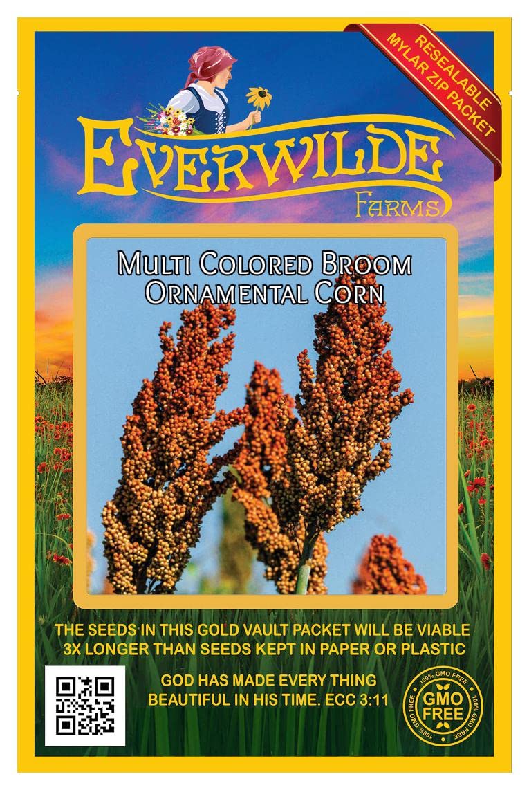 Everwilde Farms - 100 Broom Corn Ornamental Corn Seeds - Gold Vault Jumbo Seed Packet for Fall Decor, Thanksgiving Centerpieces & DIY Crafts