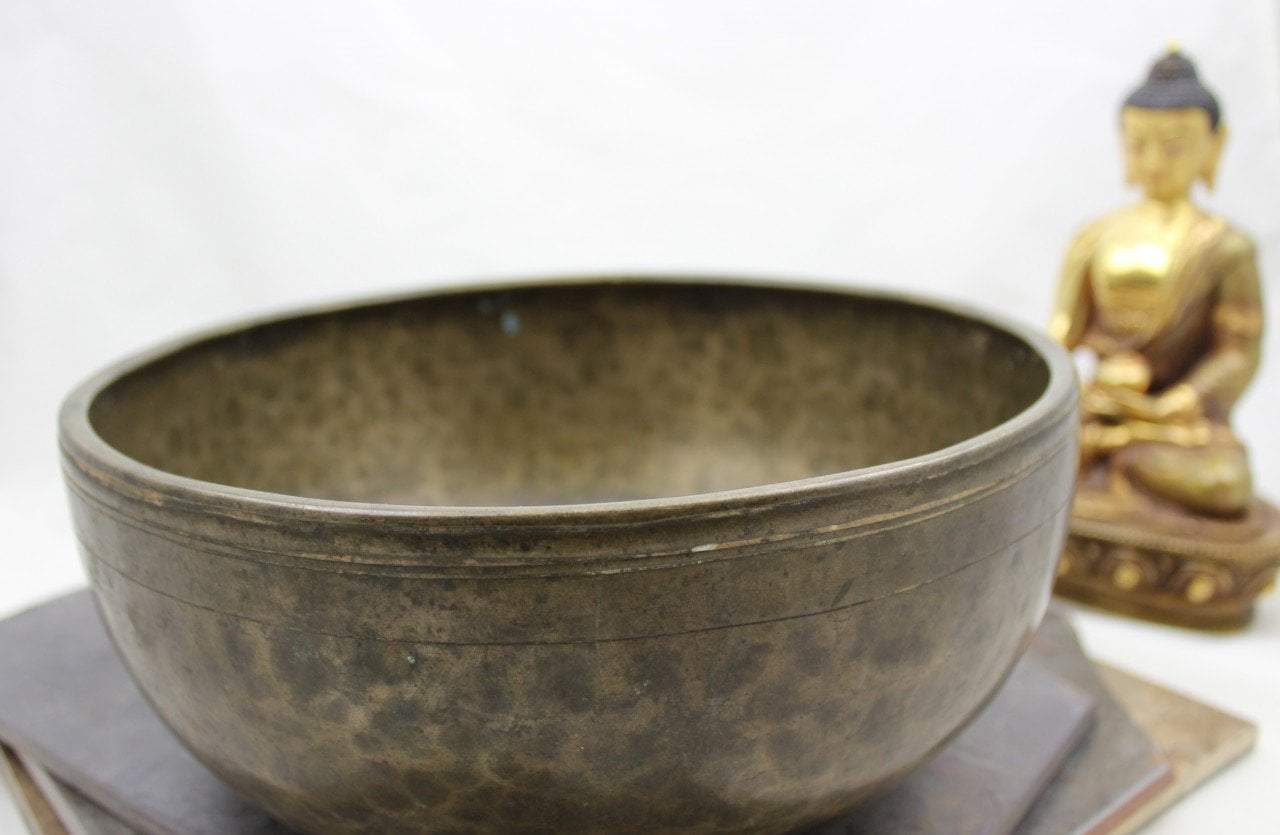 9 Inch C5 509Hz Tibetan Singing Bowl for Meditation, Yoga & Sound Healing | Handcrafted Metal Therapy Instrument for Relaxation & Stress Relief