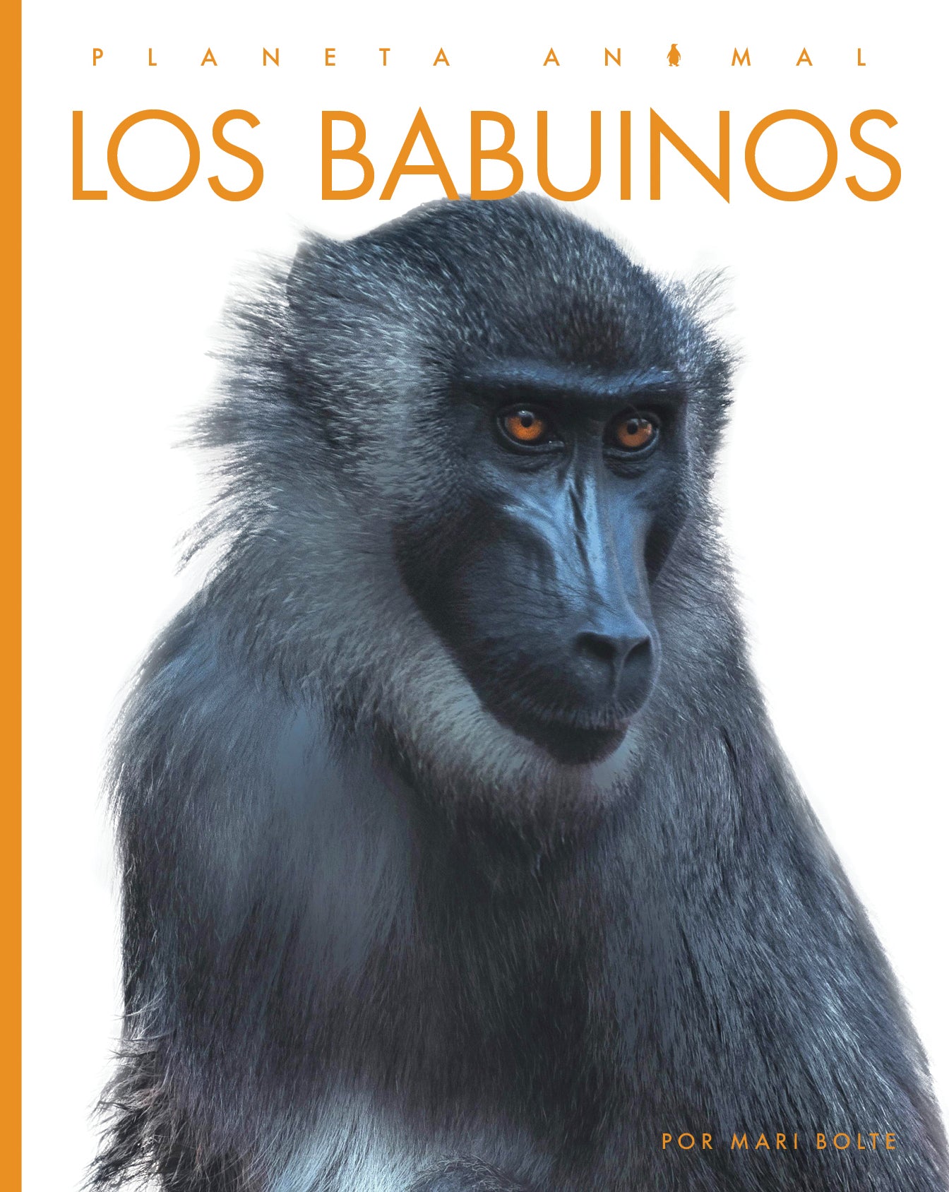 Planet Animal 2025 - Los Babuinos | Premium Collectible Figurine for Home Decor & Gifts | Perfect for Animal Lovers & Safari-Themed Collections