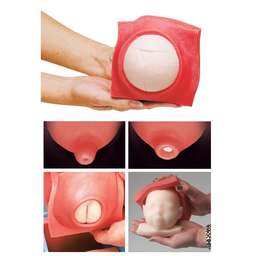Fetal Doppler Monitor & Labor Progress Model Set - Accurate Pregnancy Tracking for Medical Training & Obstetric Education