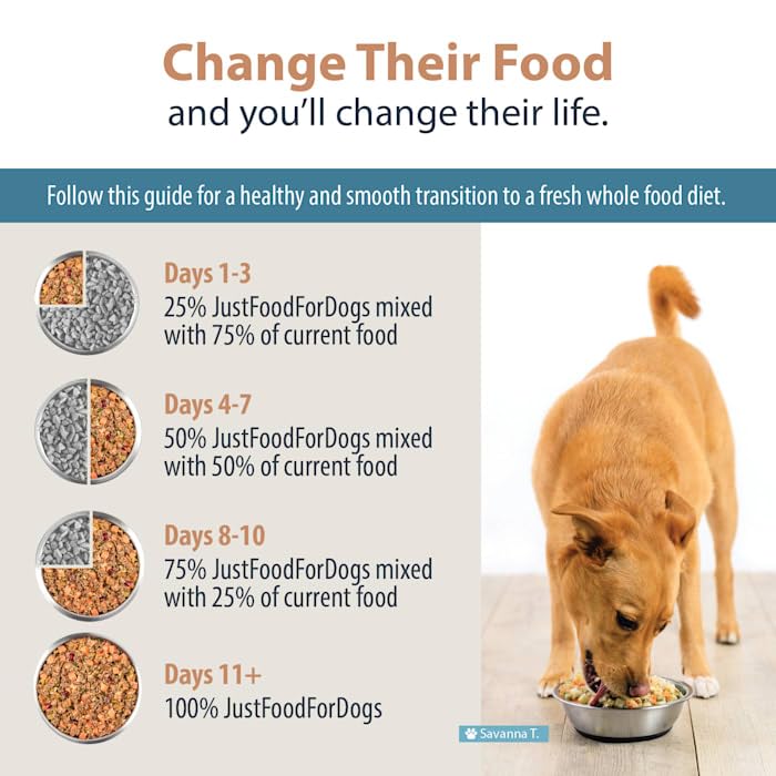 JustFoodForDogs Frozen Fresh Dog Food - Venison & Squash Human-Grade Recipe, 18oz (7 Pack) | Complete Meal or Food Topper for All Breeds | Perfect for Sensitive Stomachs & Picky Eaters