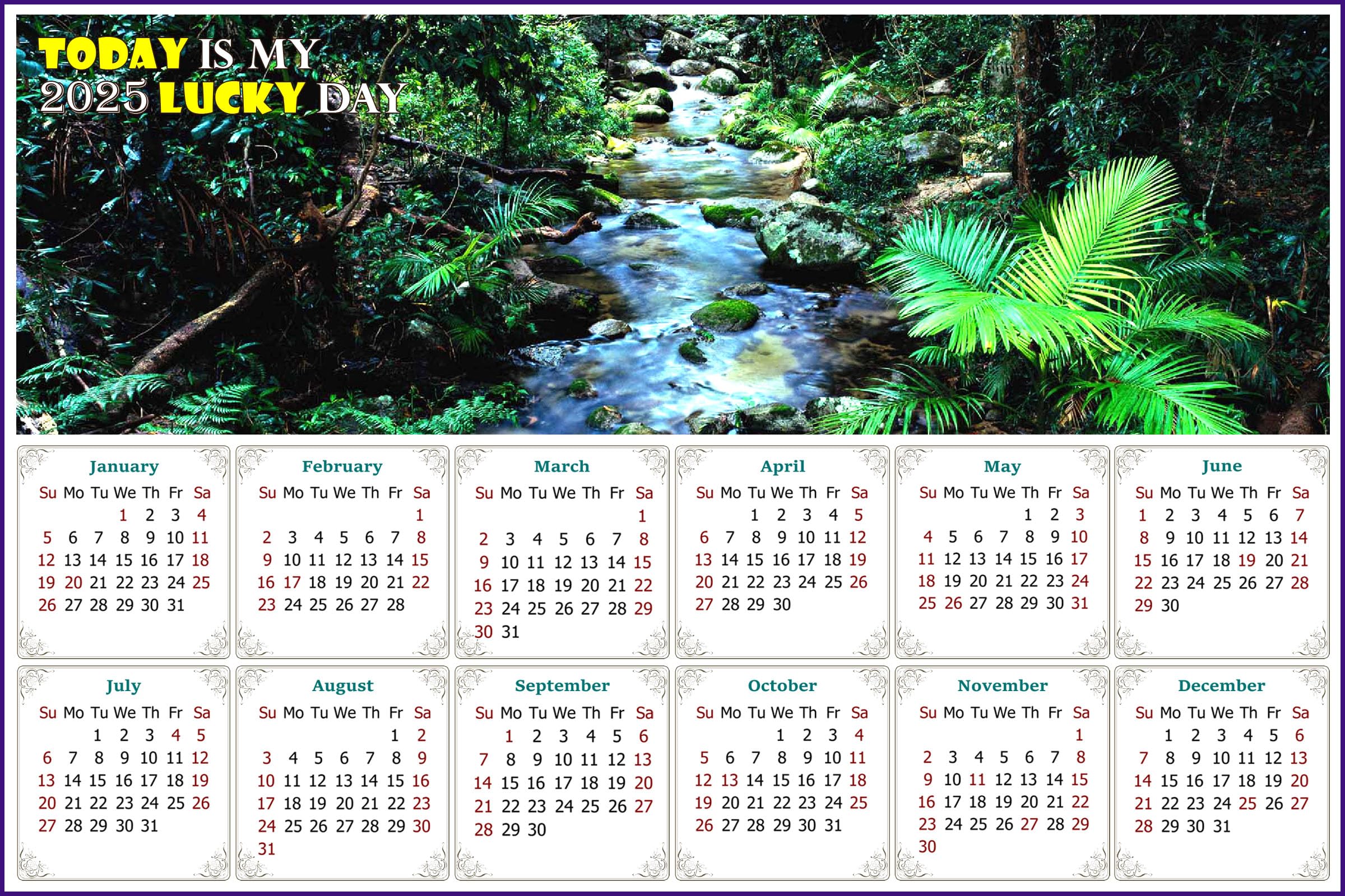2025 Magnetic Calendar - Fade, Tear & Water Resistant Wall Calendar with Strong Magnets - Perfect for Home, Office & Fridge Organization - Daintree National Park Design - 